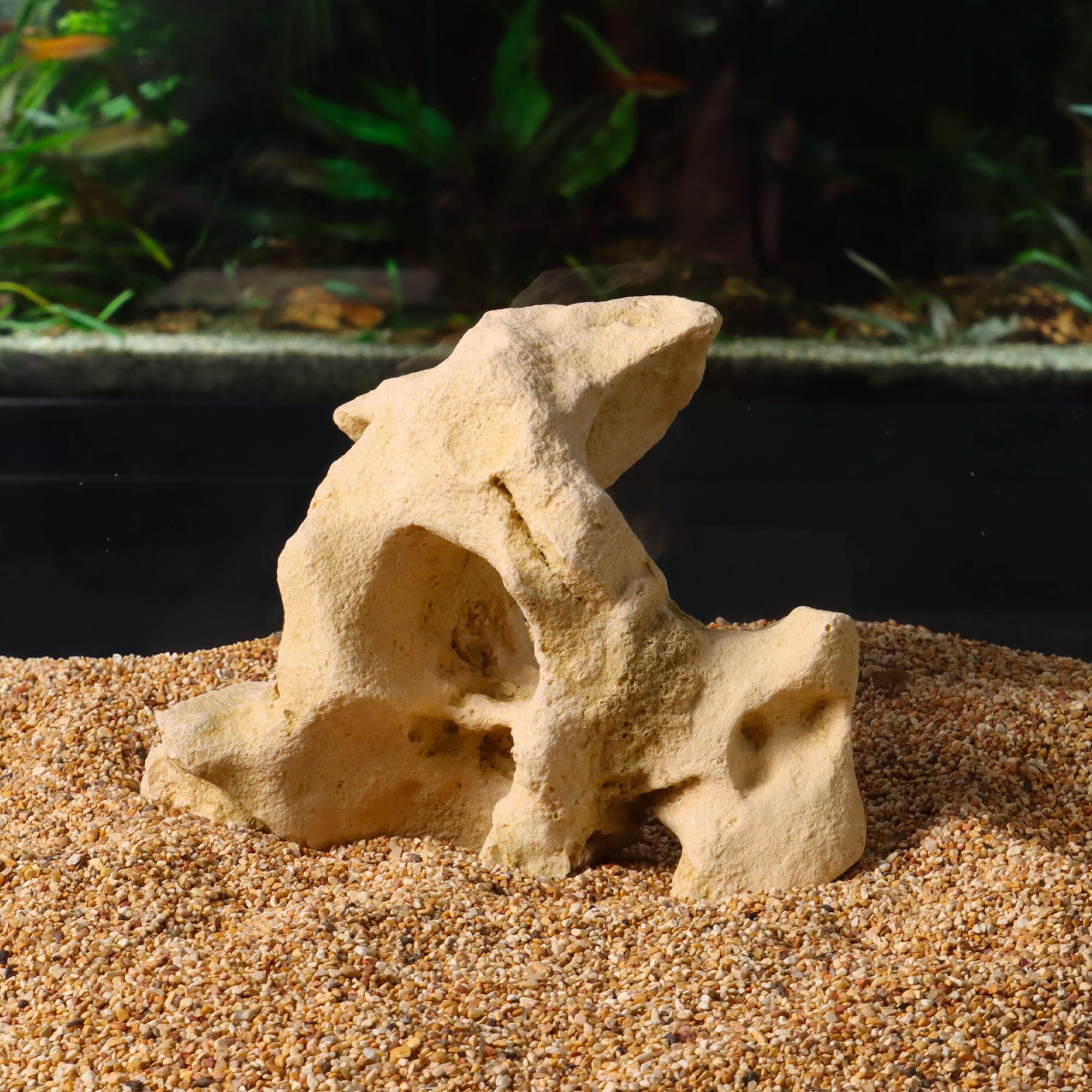 WAVE Rocher de Décoration Roche Gallura pour avec Trou Aquariophilie Beige Taille S