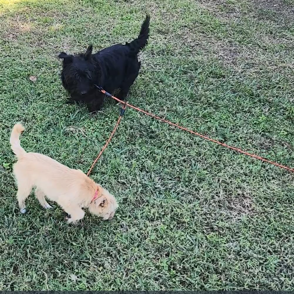 BTINESFUL Attache réfléchissante pour chiens de 3,7 m, 6,1 m, 9,1 m et 15,2 m pour 2 chiens, corde en nylon de 1,3 cm, longue laisse pour deux chiens, chariot de course pour jardin, camping en plein