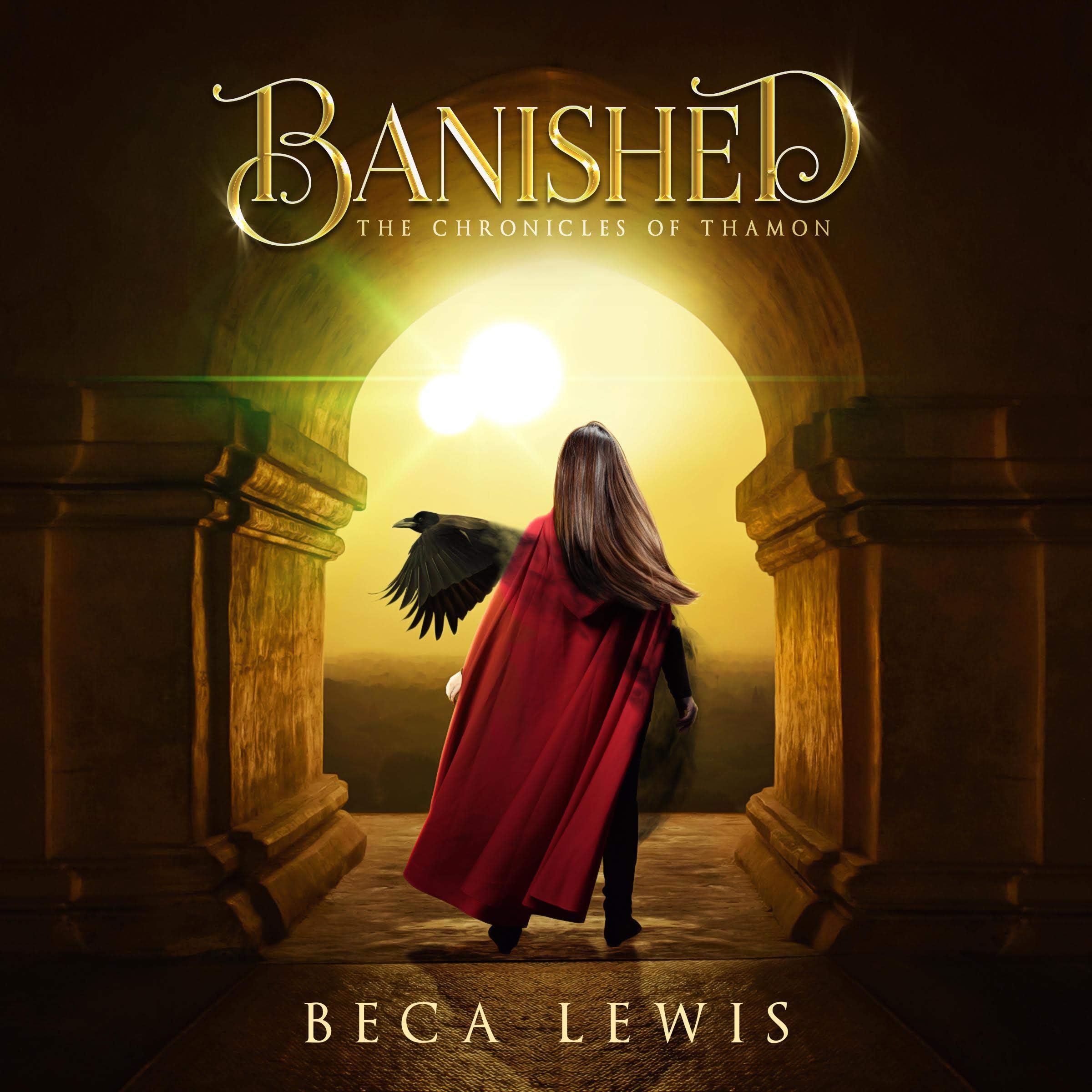 Cover art for Banished