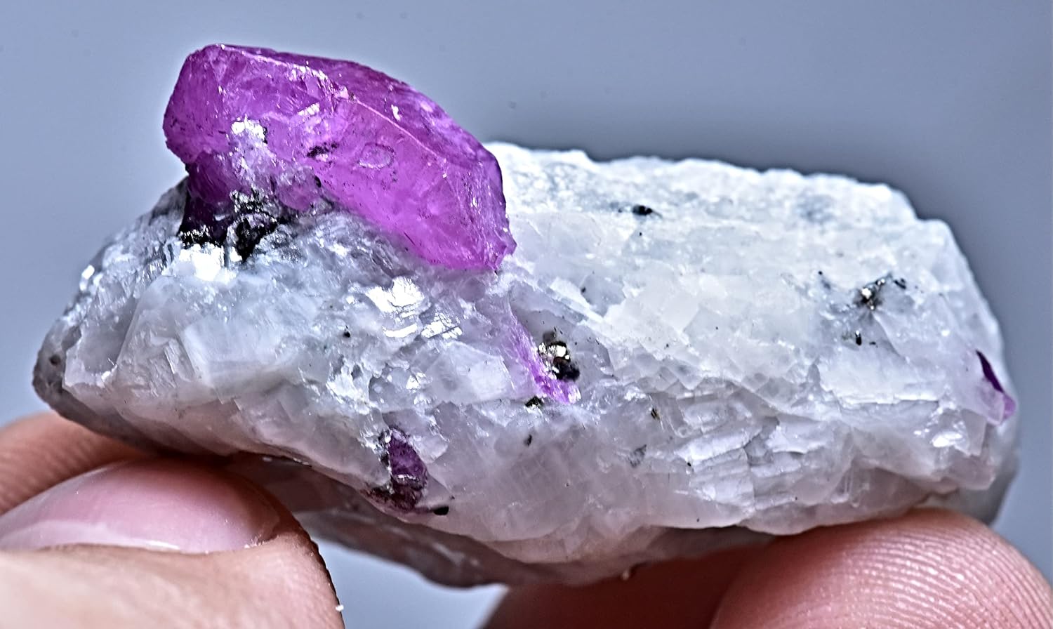 114 Carat Full Terminated Natural Ruby Crystal Specimen w/Pyrite