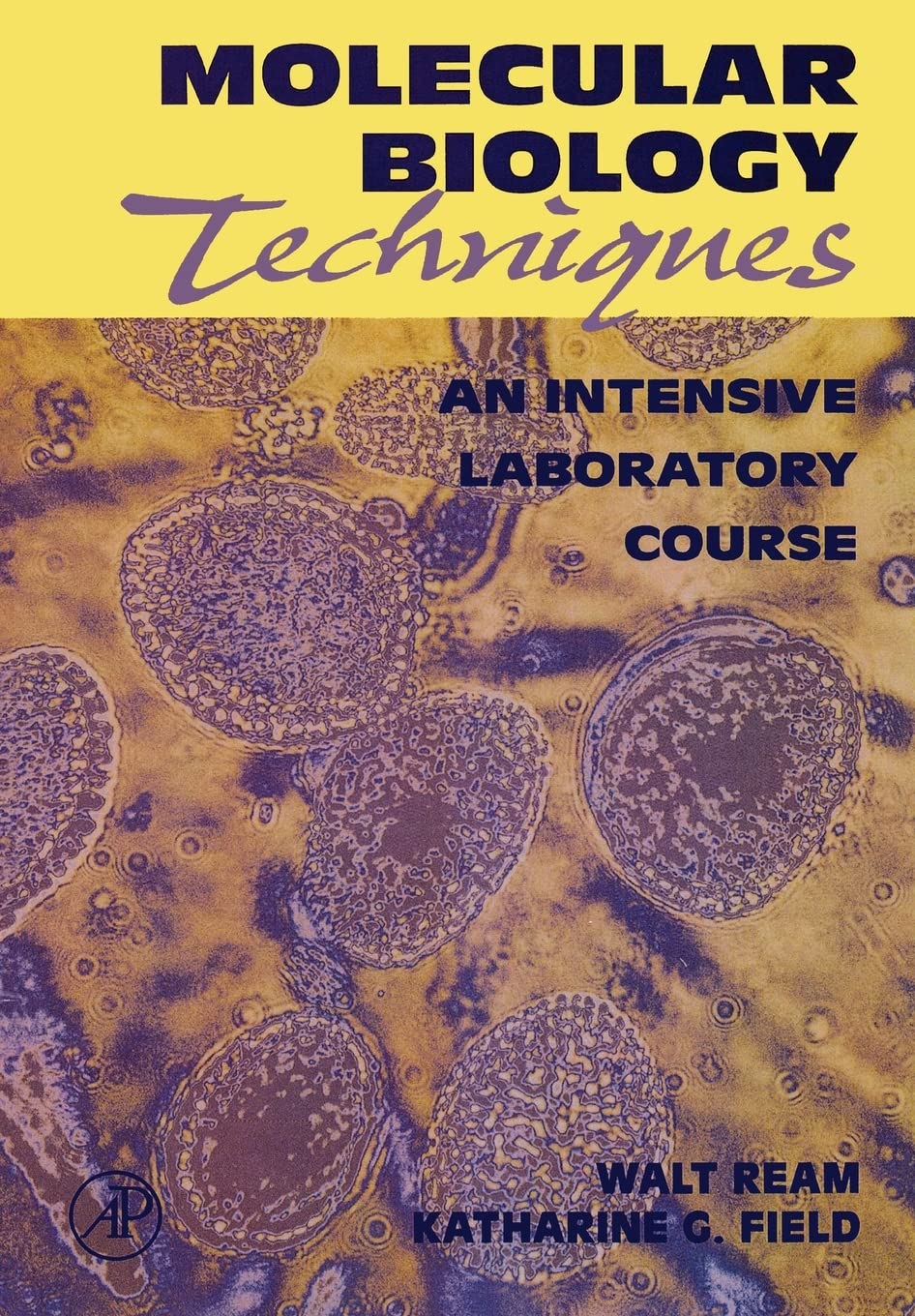Molecular Biology Techniques An Intensive Laboratory Course