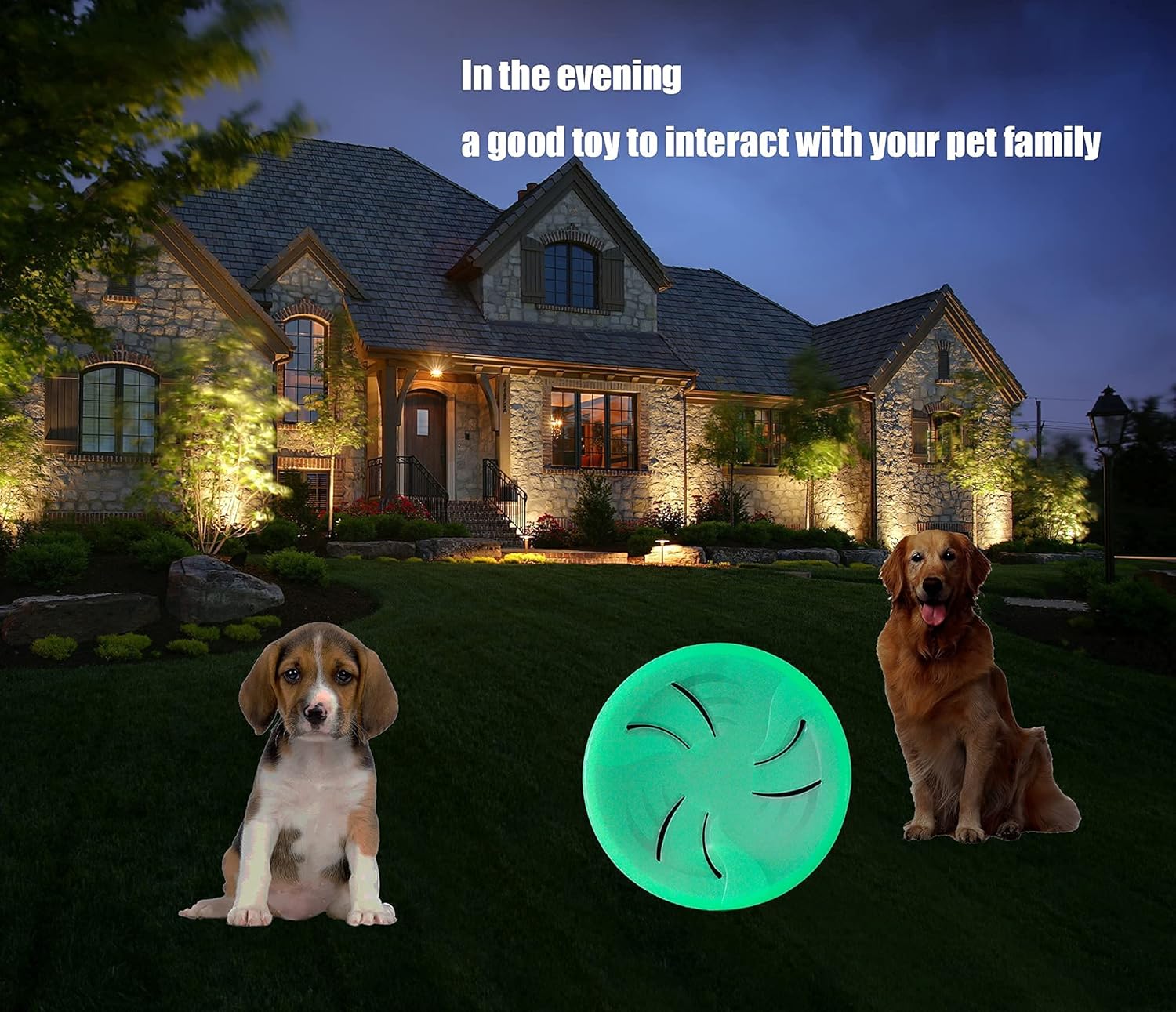 Buy Dog Flying Disc for Medium Large Dogs Glowing Flyer for