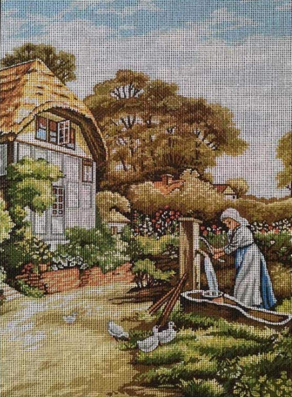 Kit broderie point de croix complet avec fil coton pour tapisserie imprimée 25x35