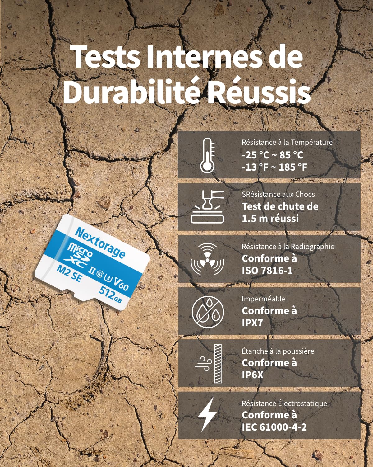 Nextorage Carte Micro SD UHS-II de Fabricant Japonais microSDXC U3 V60 - Vitesse de Lecture maximale : 280 Mo/s - Vitesse d'écriture maximale : 100 Mo/s - Carte microSD NX-M2SE