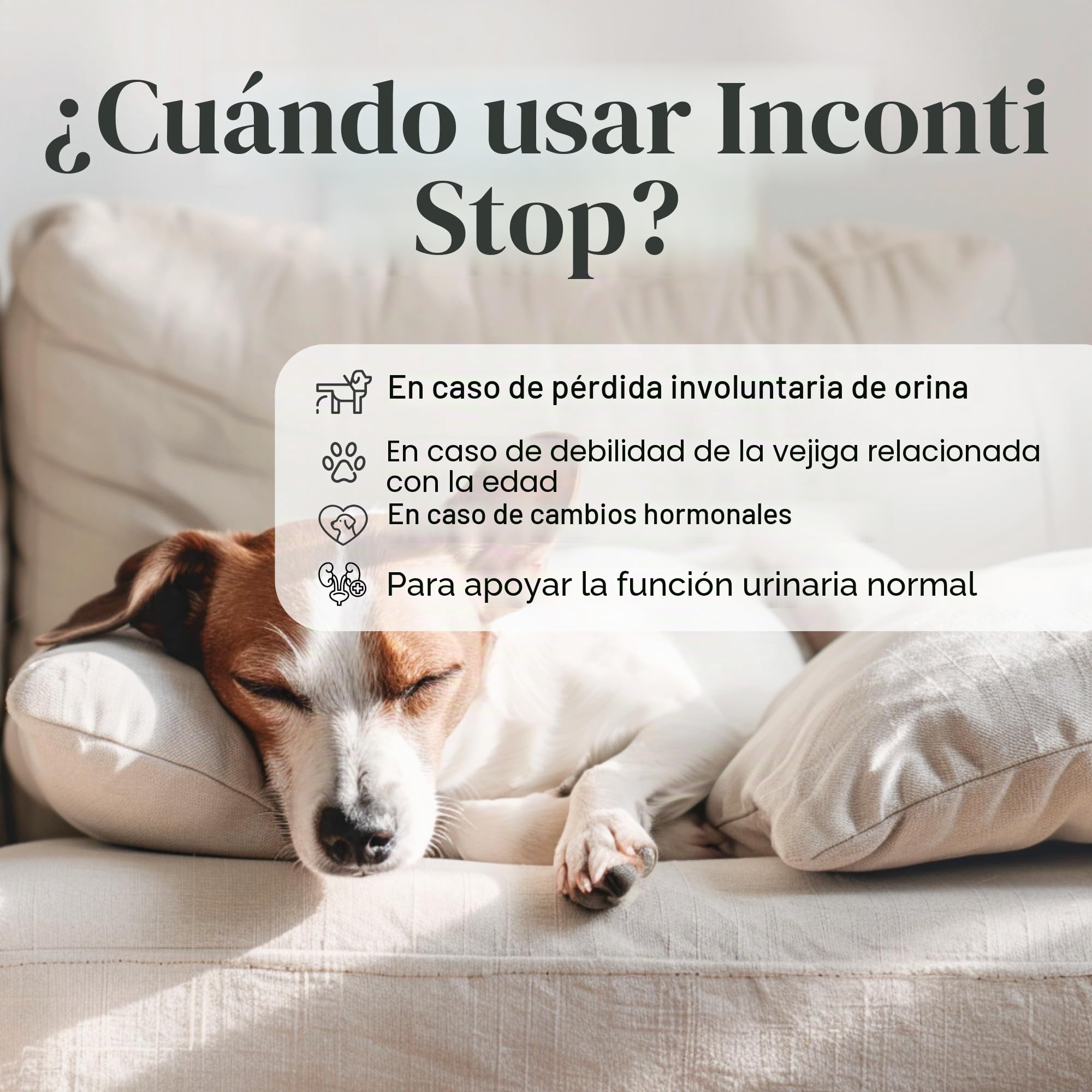 Inconti Stop Perro – incontinencia y Debilidad de la vejiga Hembra y Macho – Apoyo Natural de Las vías urinarias Ante pérdidas de orina, Goteo y Control reducido – 90 Comprimidos
