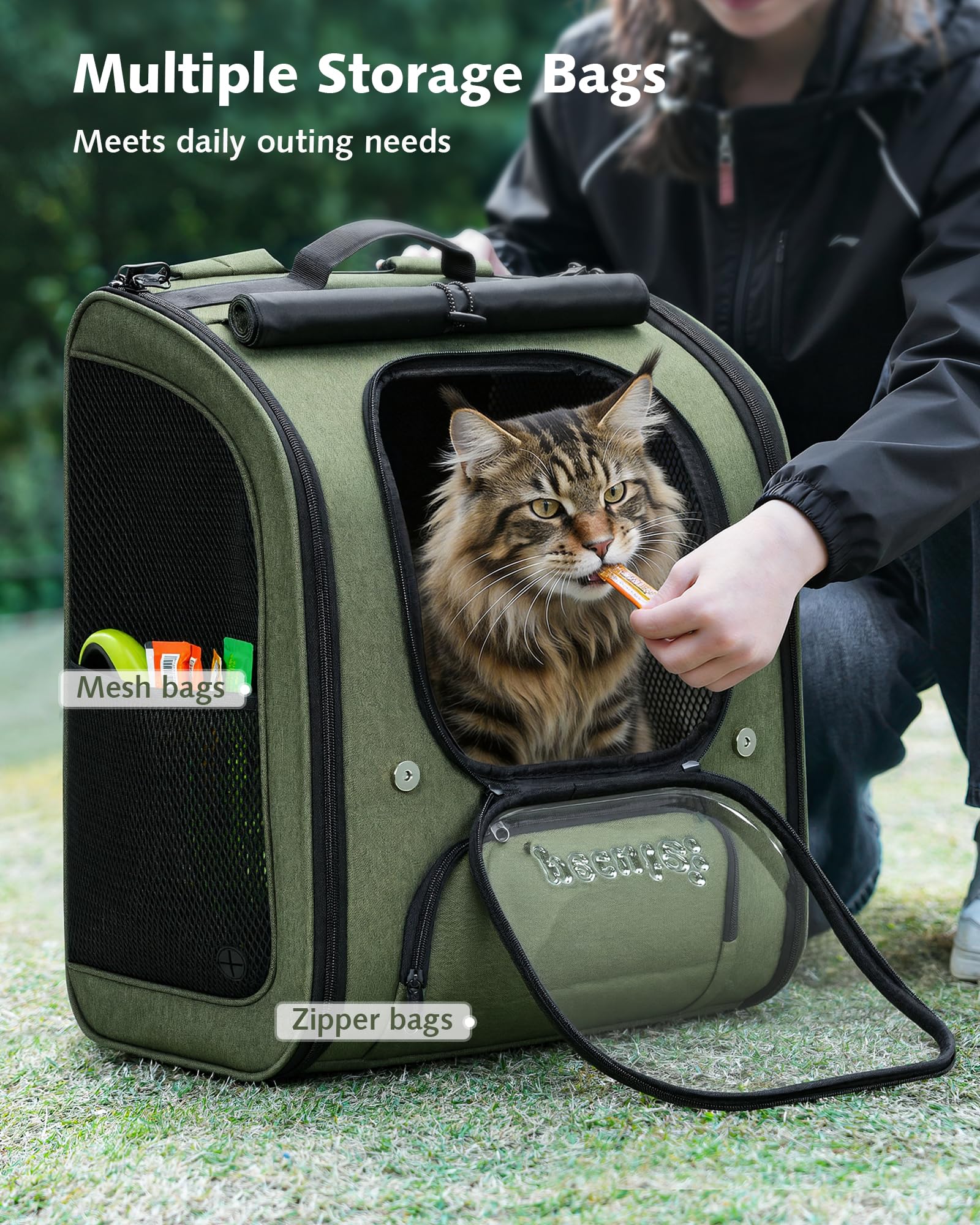 https://m.media-amazon.com/images/I/81E6Qm0z7iL.jpg