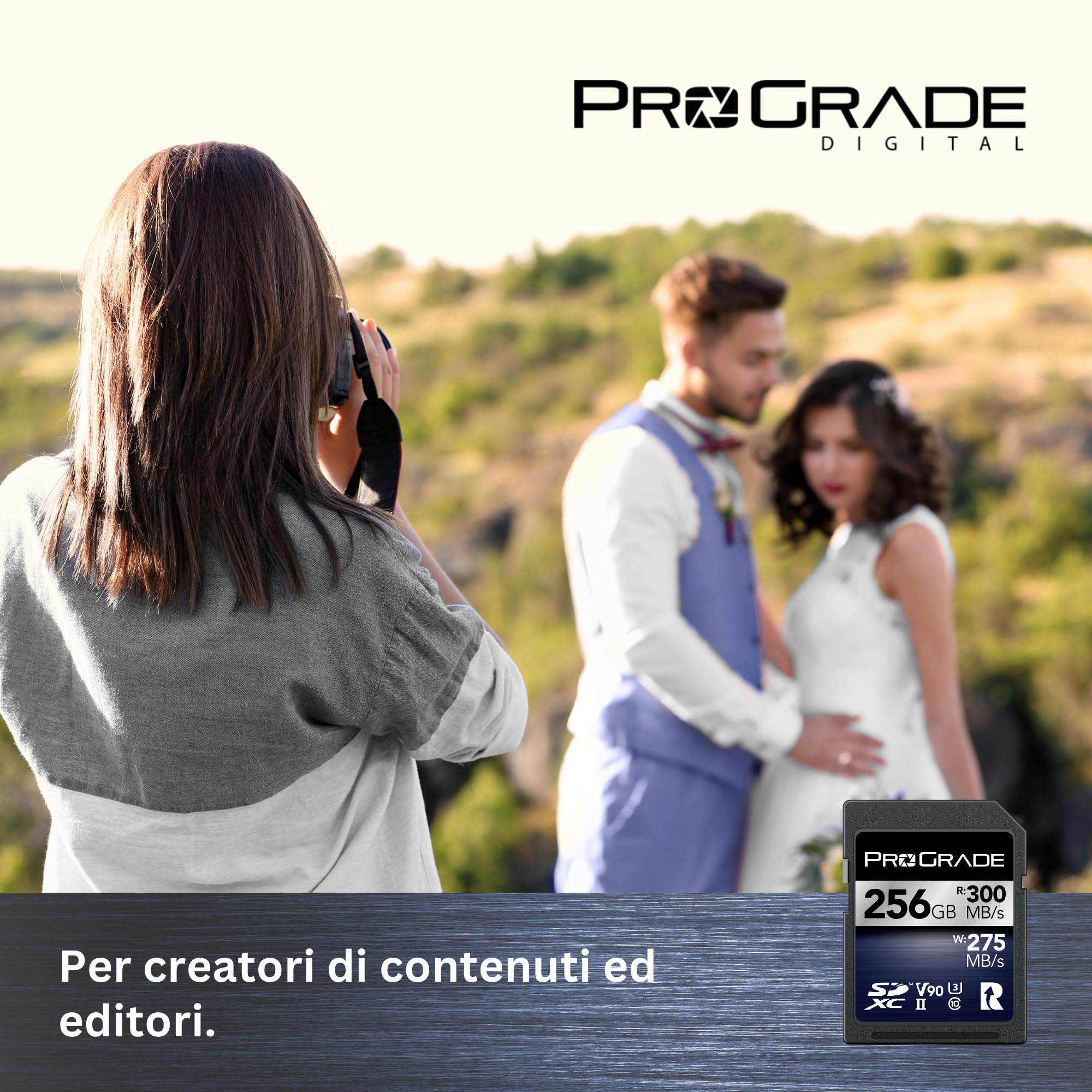 Scheda di Memoria ProGrade Digital SDCX UHS-II V90 Iridium (256GB)