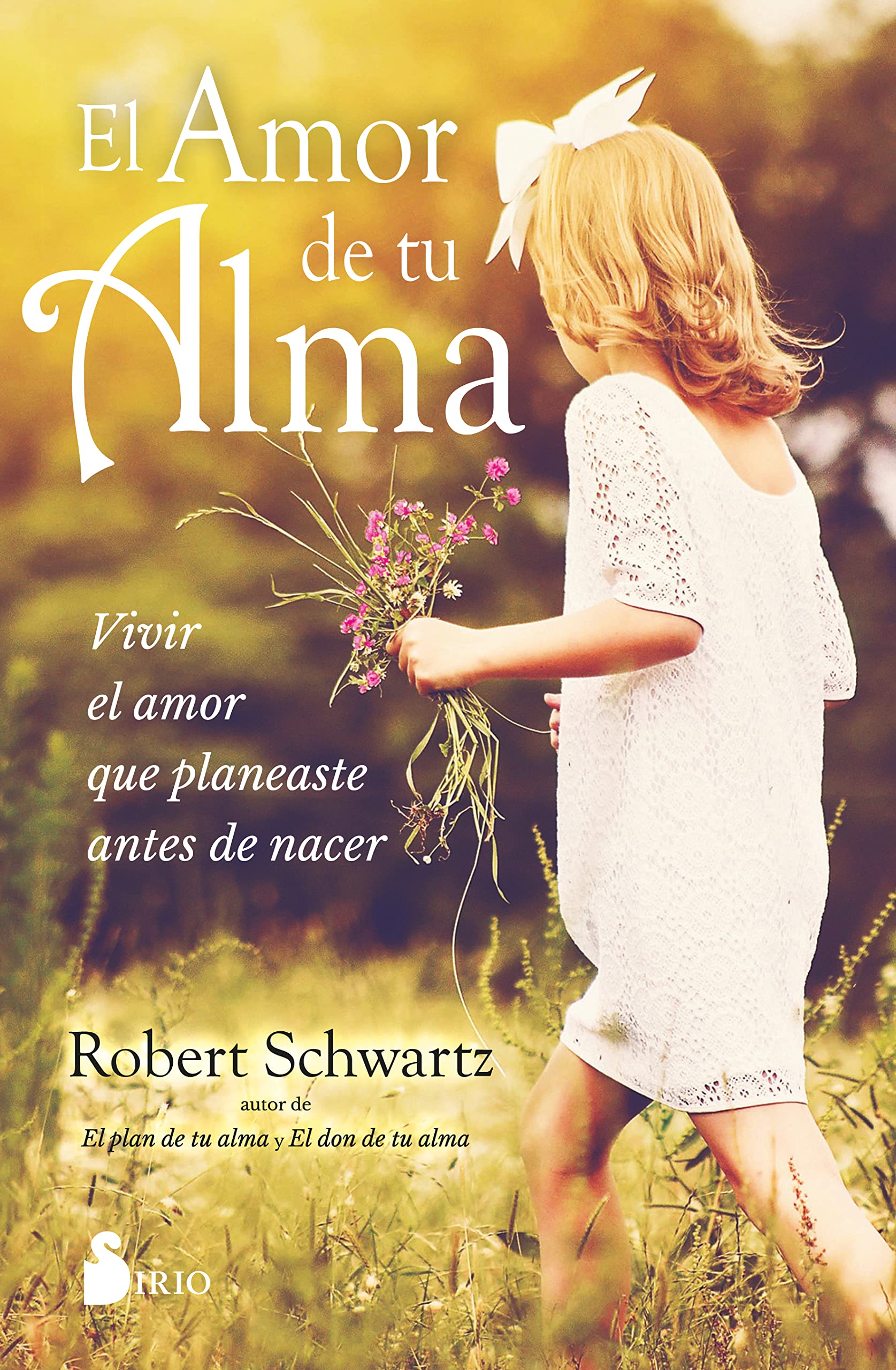 Amor de Tu Alma, El: Vivir El Amor Que Planeaste Antes De Nacer