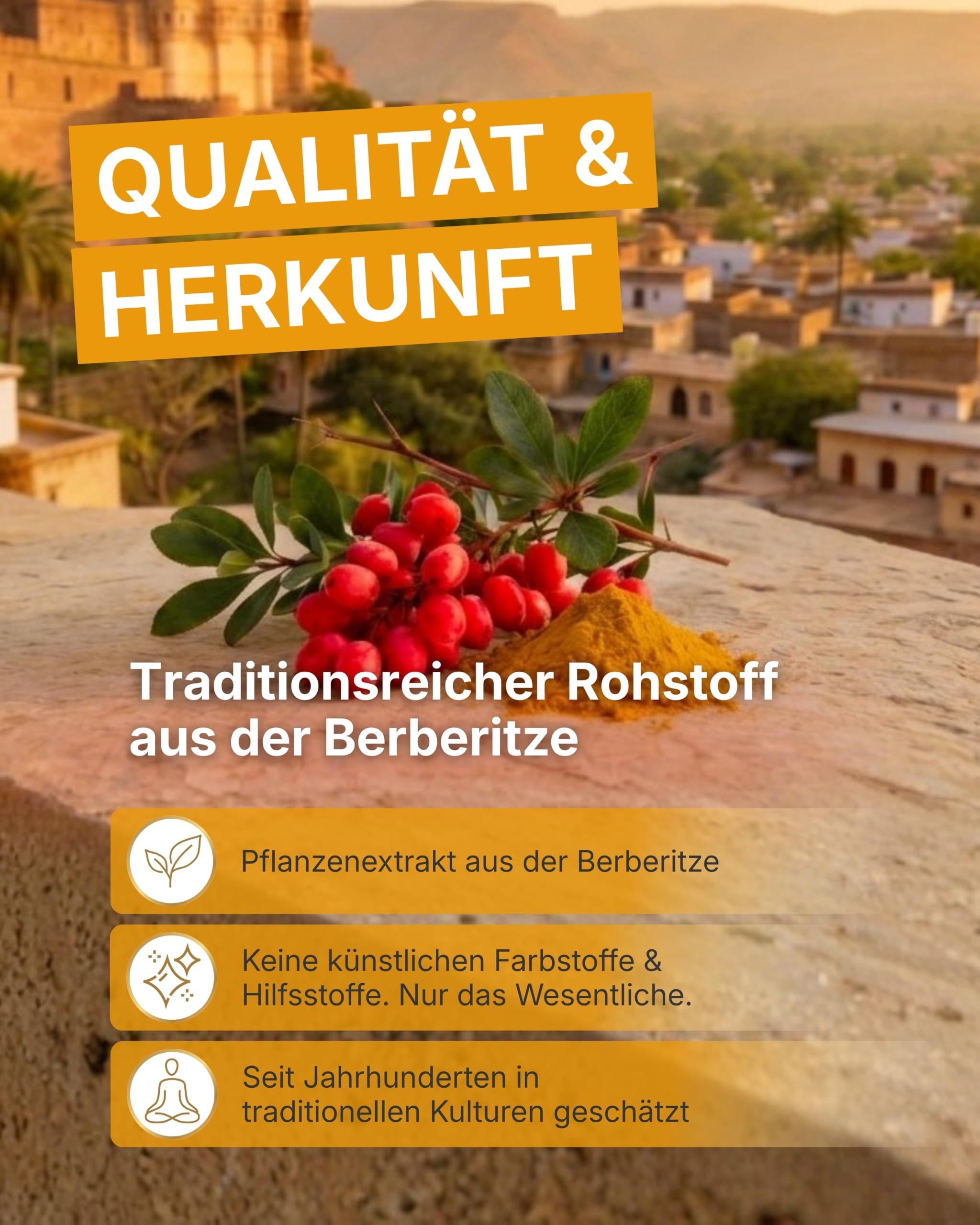 Berberin Kapseln I 10:1 Extrakt I 120 Kapseln I 1.000 mg pro Portion I Pflanzenextrakt aus Berberis Aristata I Vegan, laktosefrei & glutenfrei I Natürliche Nahrungsergänzung für 60 Tage