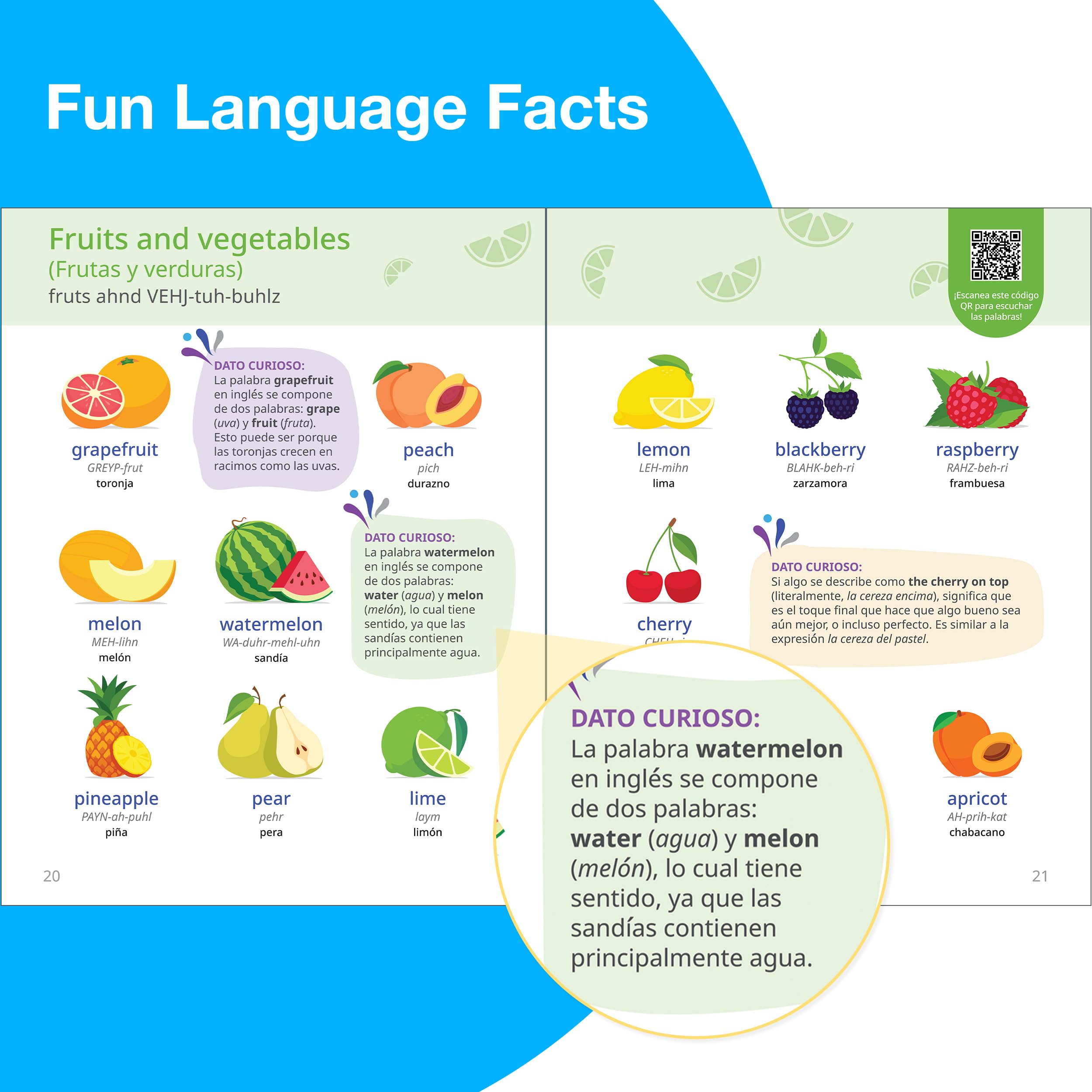 Rosetta Stone Ingles: Diccionario visual (Rosetta Stone Picture Dictionaries) (English and Spanish Edition) - Image 4