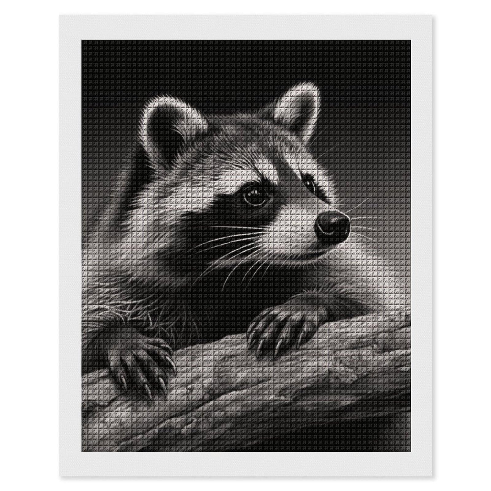 FodPand Raccoon Black 5D Diamond Painting Kits for Adults Beginners Full Drill Square Diamond Dots Pictures Gem Art Supplies for Home Wall Room Decoration DIY Craft Set Gift 16x20