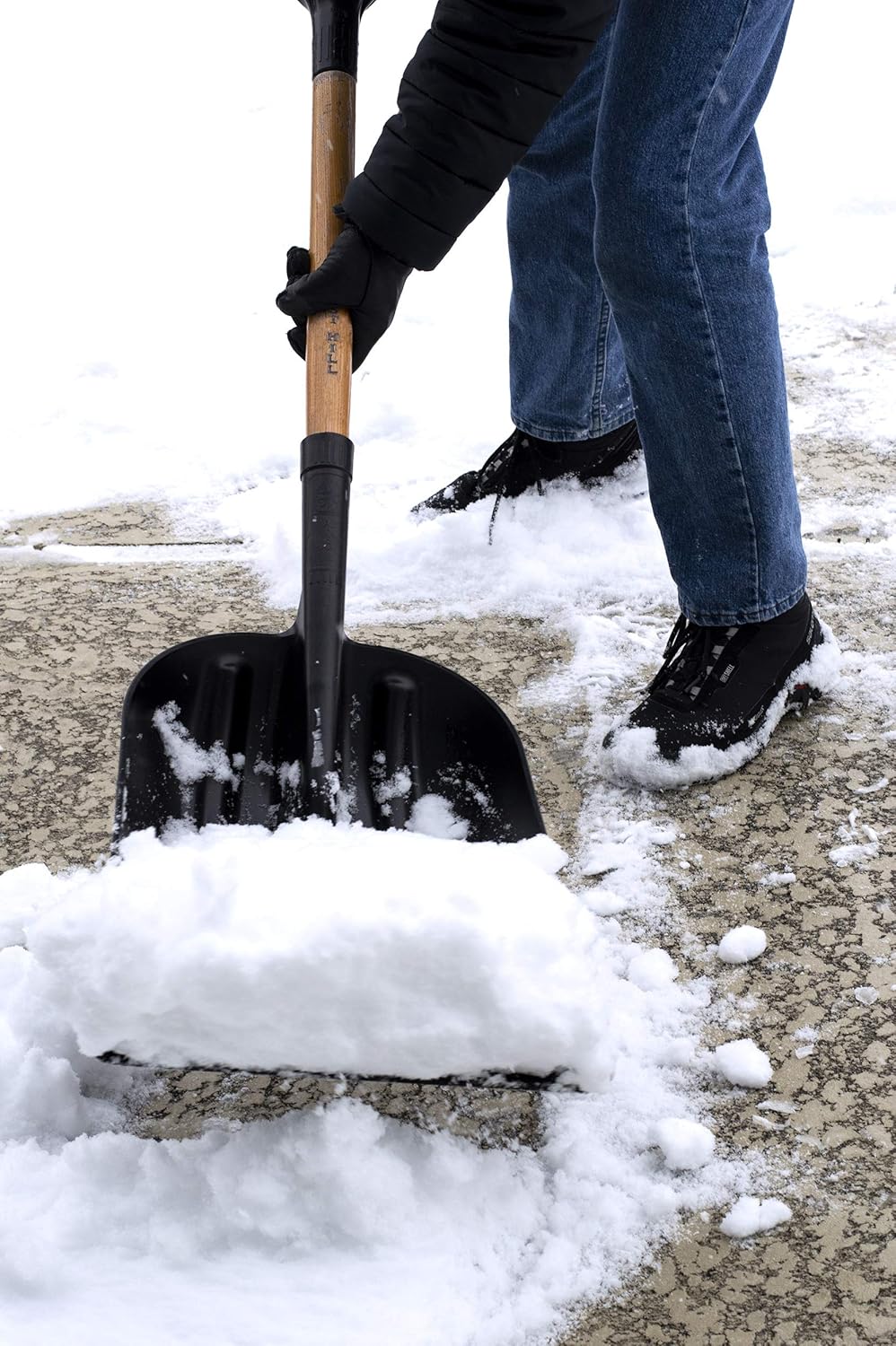 Buy 1 get 1 Forest Hill Manufacturing General Purpose Poly Gardener Scoop Shovel (Black Poly, 48-Inch)