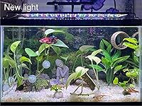 Review Image by Tara Tara