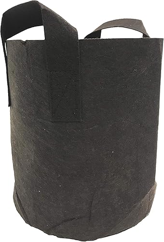 Viagrow V2GAPOT-10 Asas transpirables para aireación de raíces (paquete de 10), maceta de tela de 2 galones, color negro disponible en Yaxa Peru