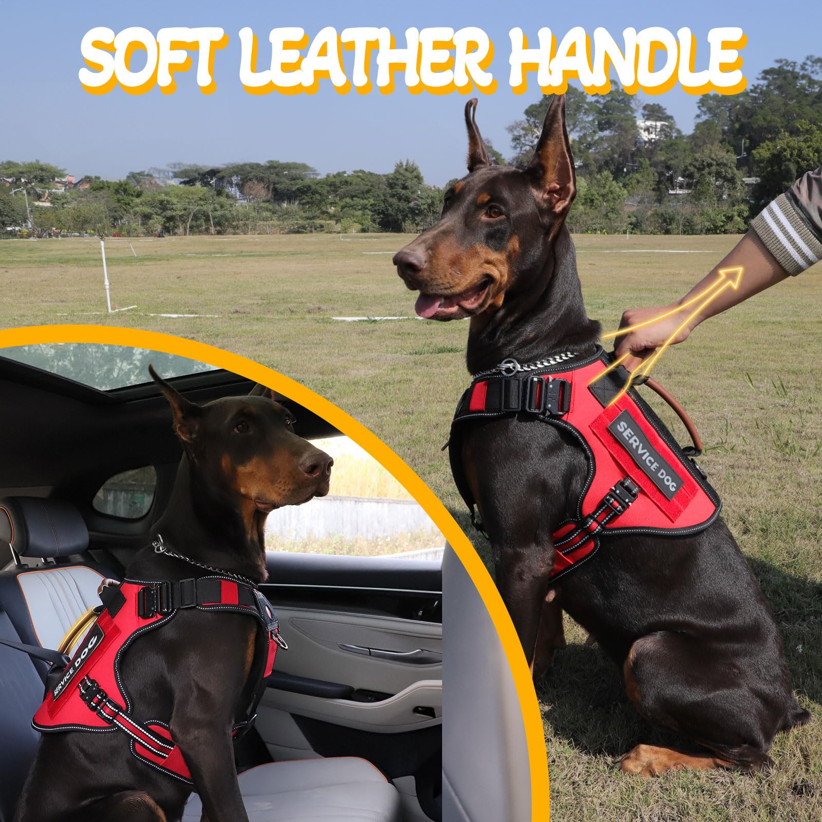 Arnés táctico para perros de servicio para perros medianos y grandes (rojo, M)