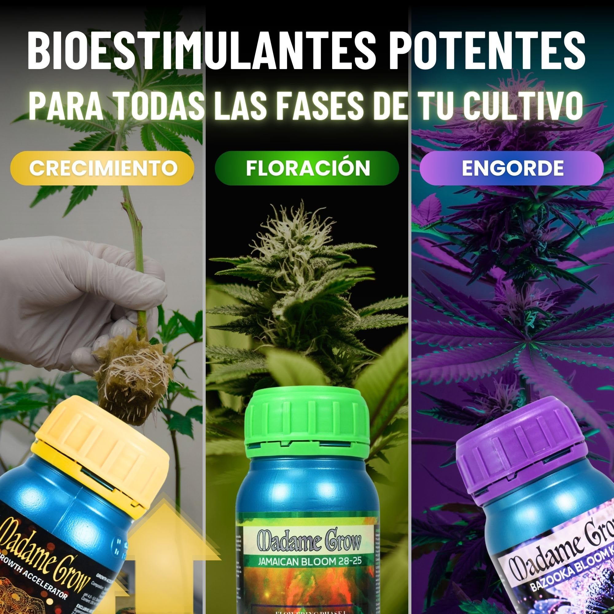 MADAME GROW Kit Power 3PACK 3 x 500ml | Pack Fertilizantes Crecimiento Floración y Engorde | Enraizante + PK Floración + Engordador K30 | Kit 3 Abonos Orgánicos