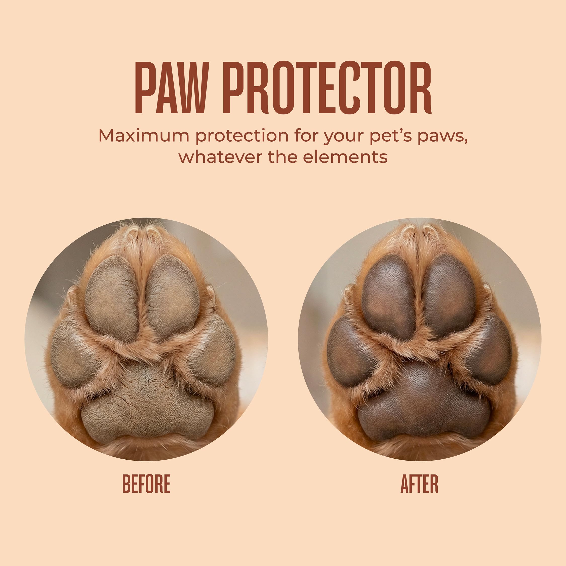 WagWell Paw Protector Dog Paw Balm | Lick-Safe, Vet-Approved Paw & Nose Balm | Microbiome-Friendly, Dermatologist Tested | Hot Pavement & Cold Weather Protection | To Hydrate, Condition & Protect Paws - image 8