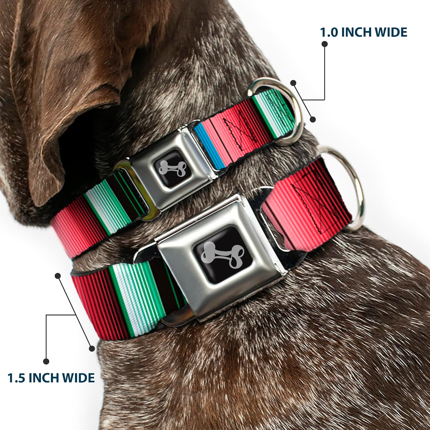 Dog Collar Seatbelt Buckle Zarape5 Vertical Multi Color Stripe 9 to 15 Inches 1.0 Inch Wide