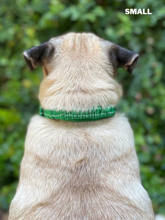 Collar para perro reforzado con asa y nylon balístico ajustable miniatura 8