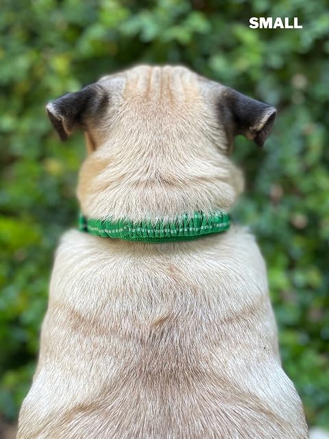 Foto 8 de 8 de Collar para Perro Resistente con asa Tuff Pupper