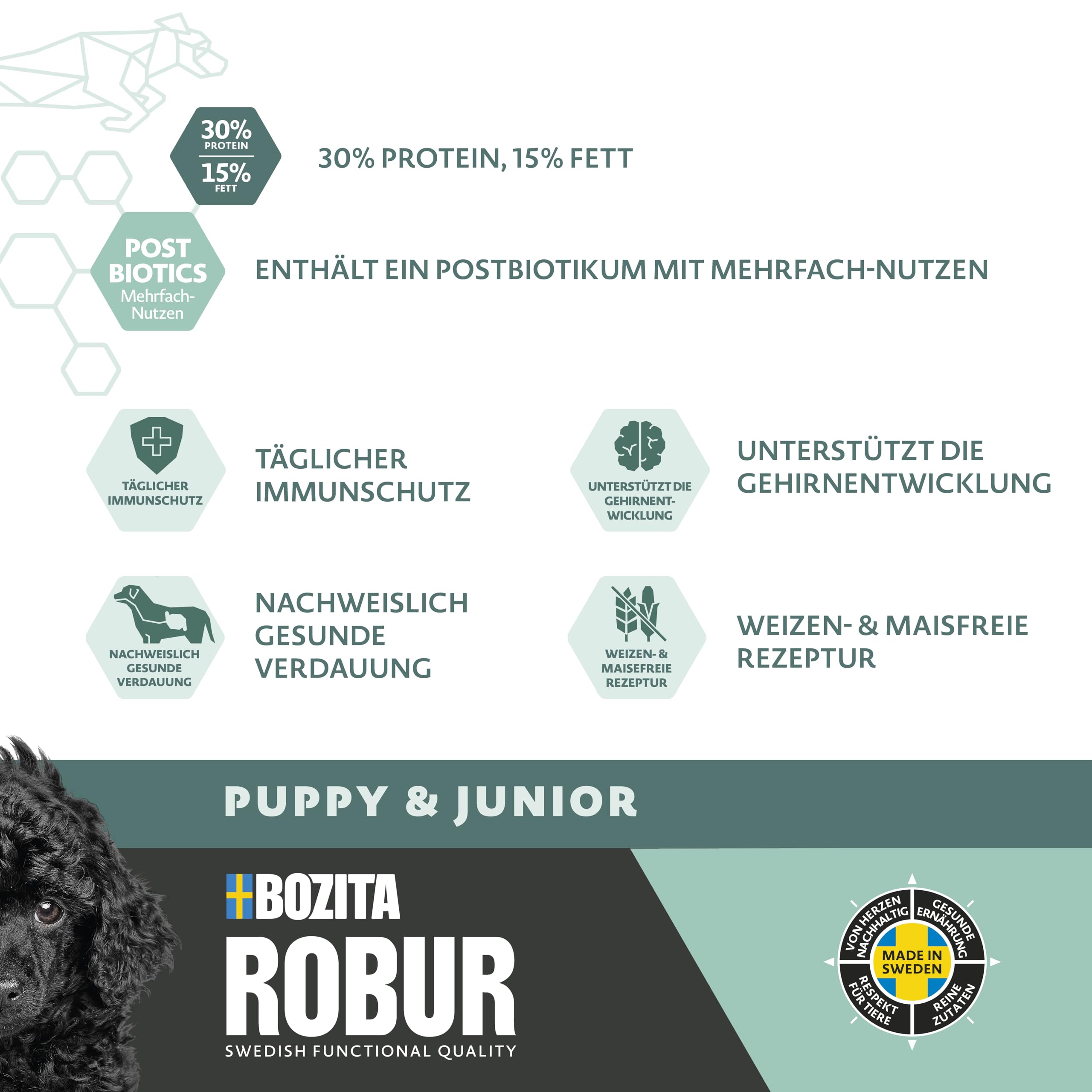 Bozita ROBUR Puppy & Junior Huhn 12kg - Welpenfutter Trockenfutter mit hoher Akzeptanz, Postbiotika ohne Weizen für kleine bis mittelgroße Rassen