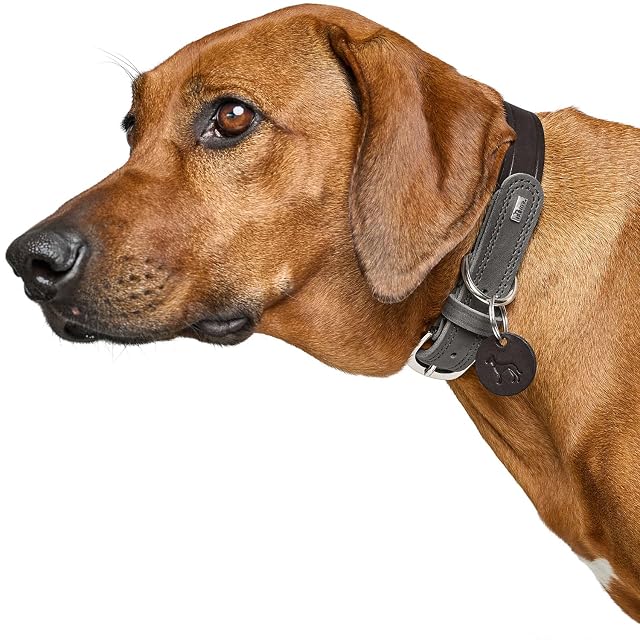 Foto 6 de 6 de HUNTER Collar para Perro LEMVIG, Color: Negro/Gris Piedra, Piel, Resistente y Duradero, Agradable, Suave