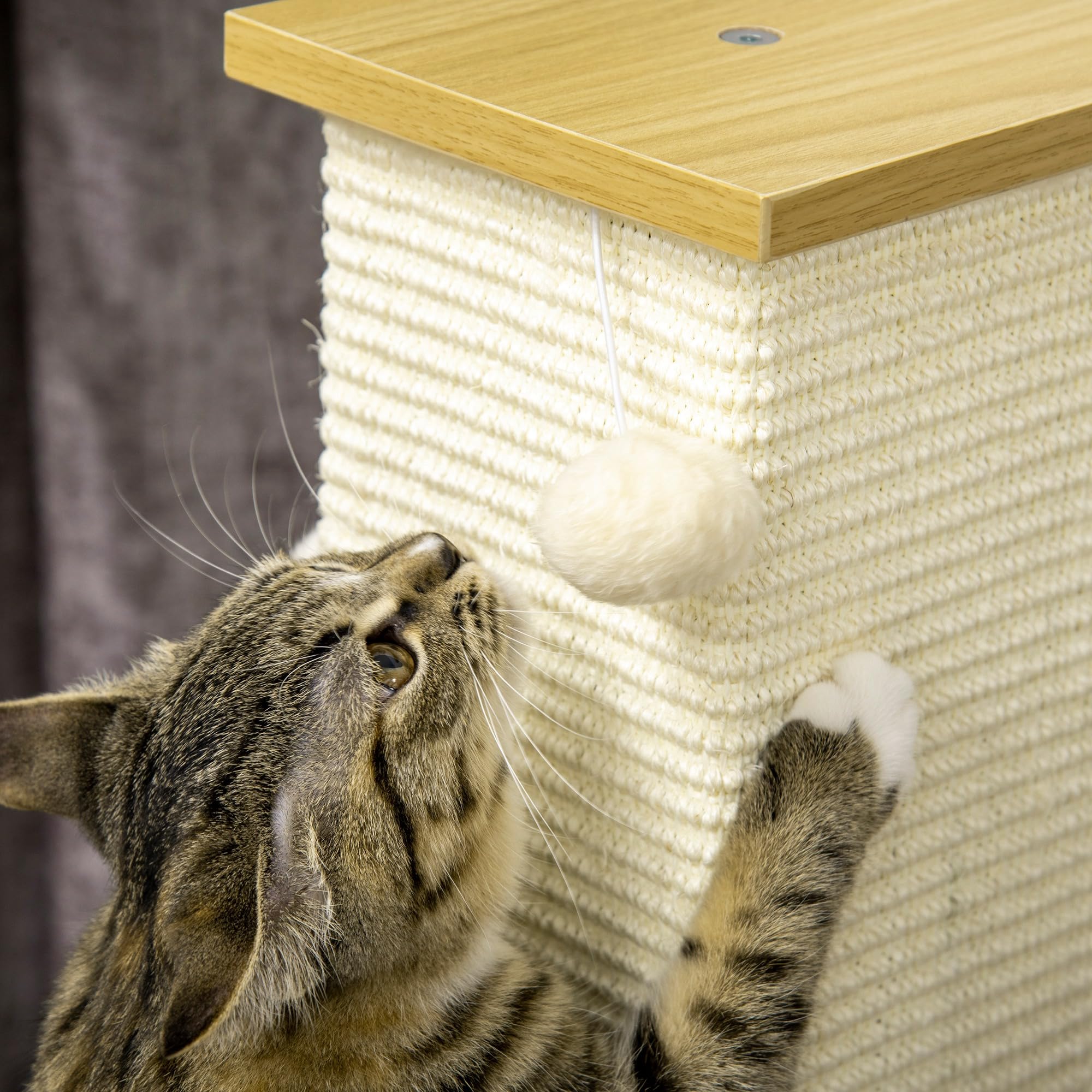 PawHut Kratzsäule 80 cm hoch für Katzen bis 5 kg Sisalseil Eiche+Cremeweiß | Kratzstamm, Kratzbaum, Spielball, Kratzbrett