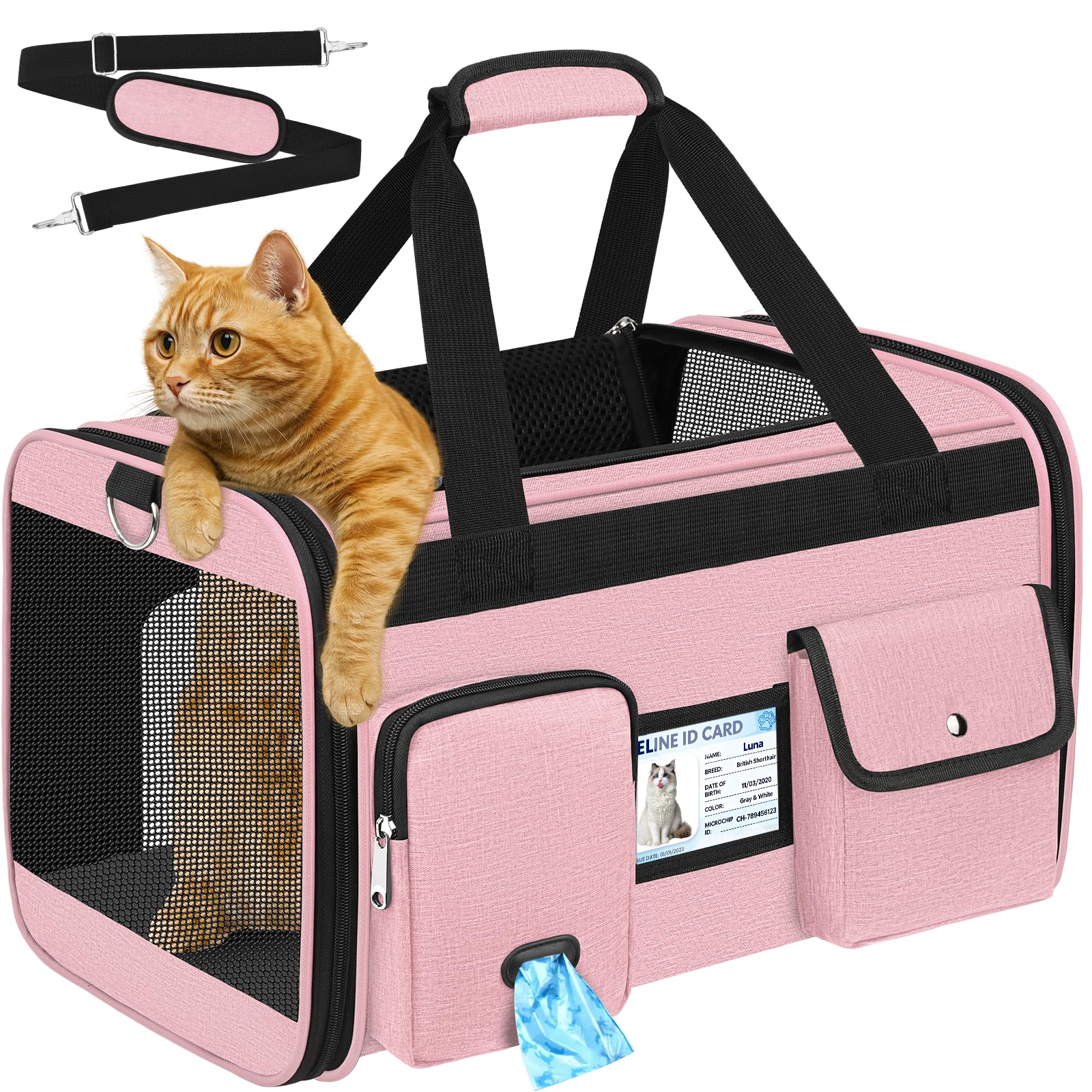 TEUEN Airline Approved Folding Carrier - Travel Bag for Cats and Dogs up to 9 kg, 4 Mesh Sides, Anti-Tear Fabric with Washable Cushion and Safety Strap