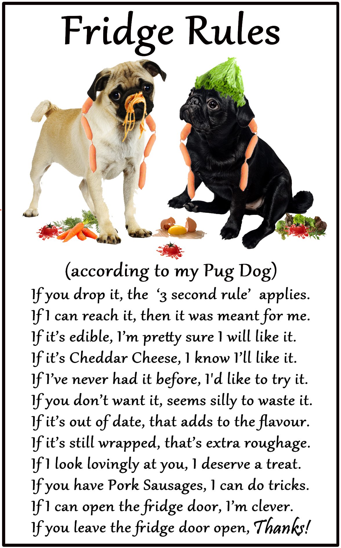 Fridge Magnets Pug Dog Gift (Puppy) - Fridge Rules - Large Fun Flexible Size 16Cms X 10 Cms (Approx. 6" X4")