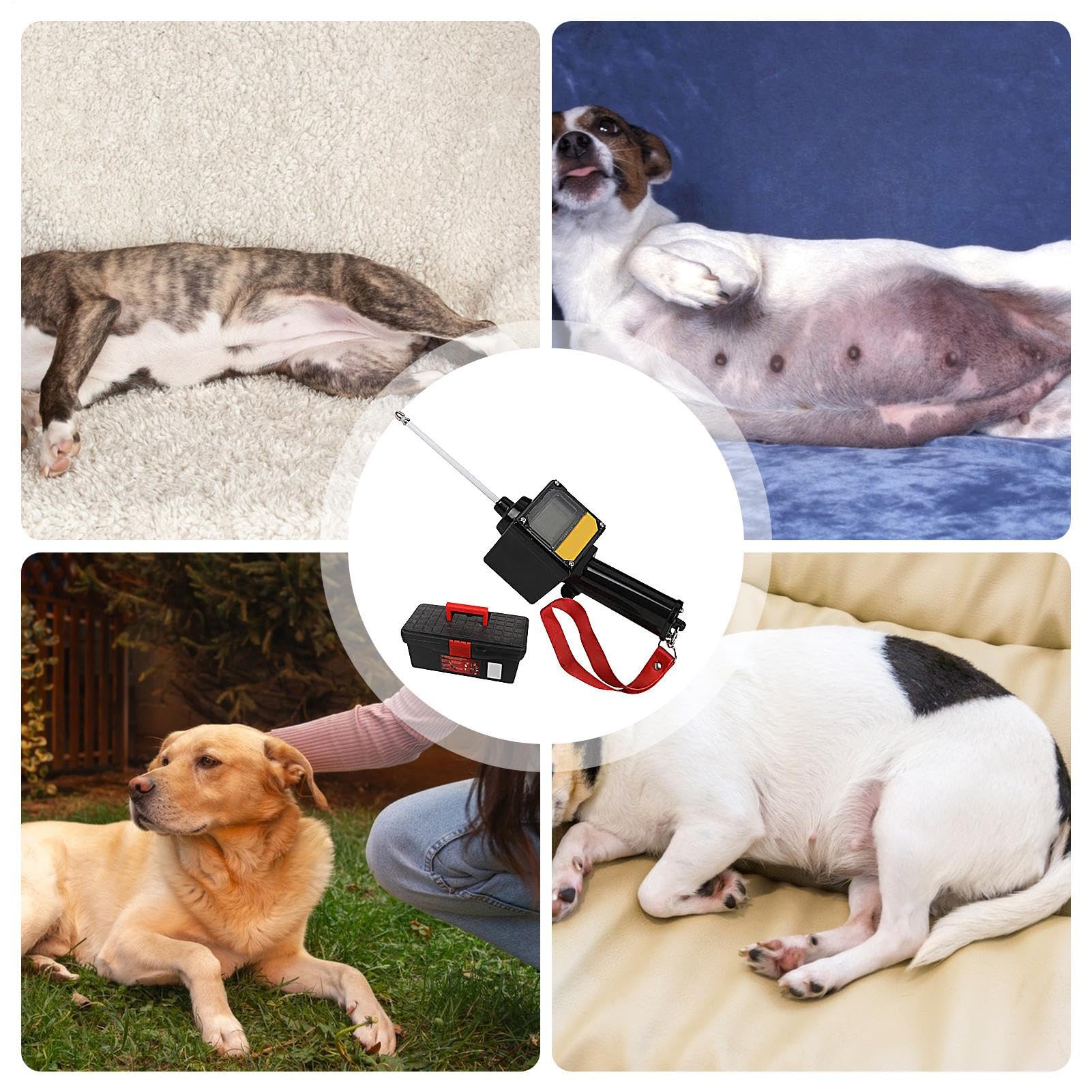 Test Di Ovulazione Per Cani Tester Gravidanza Con Sonda Magnetica Da 5 Cm | Rilevatore Ovulazione Impermeabile A Batteria Con Cordino Per Pianificazione Fertilità Canina