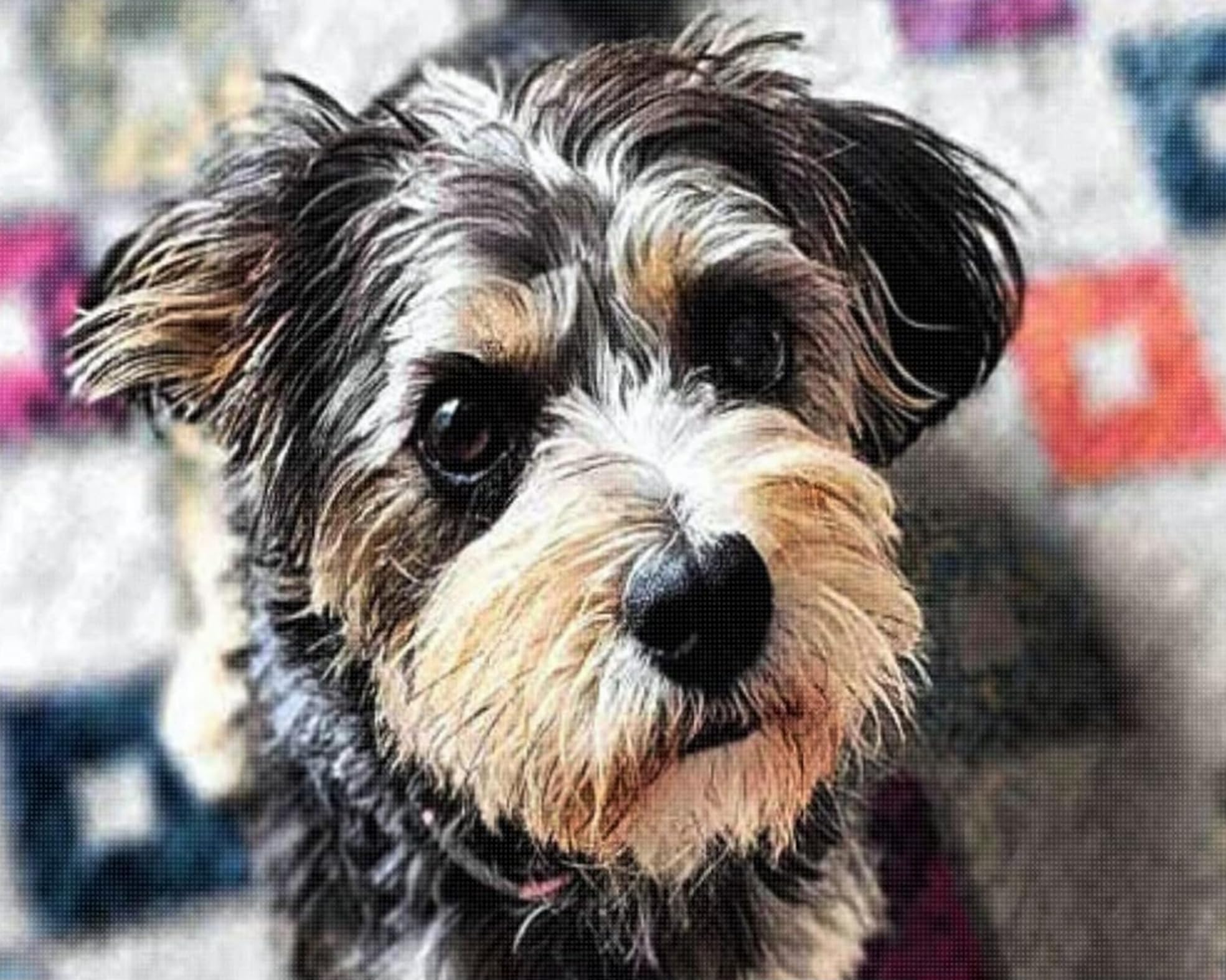 Broderie facile sans compter avec le kit point de croix chien 11CT