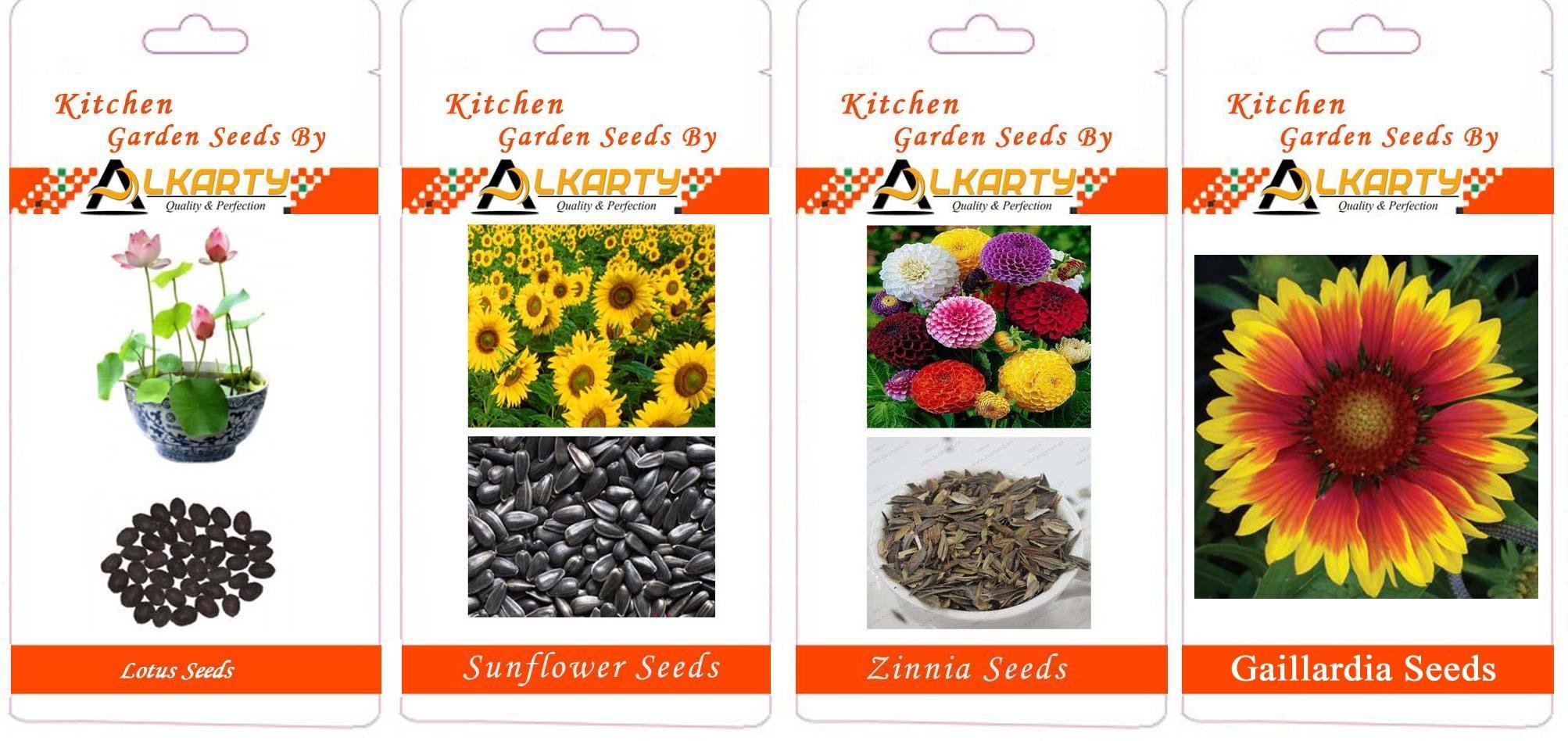 Lotus, Sunflower, Zinnia, Gaillardia Summer Flower Seeds Pack of 20 Each-image-40