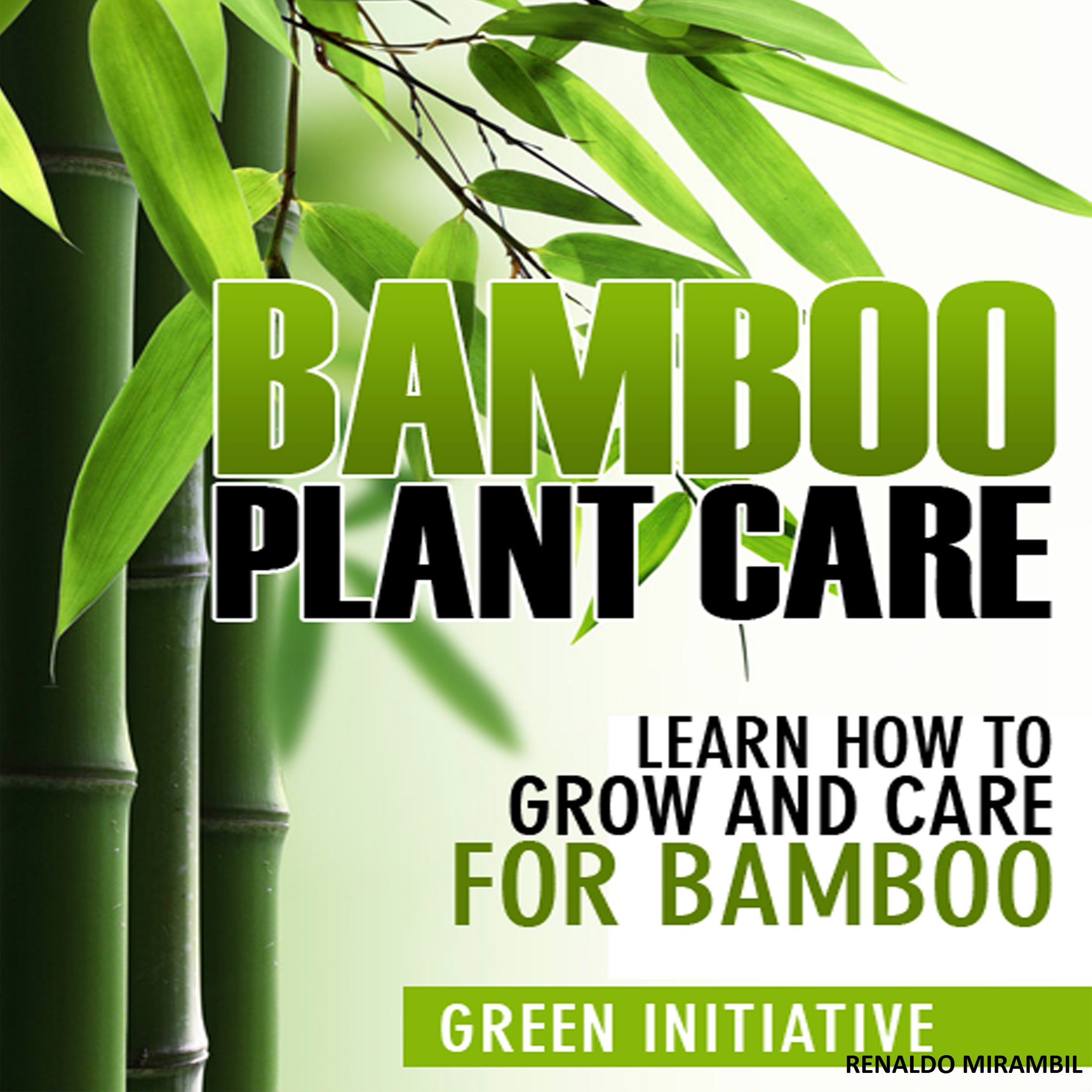 Cover art for Bamboo Plant Care - How to Grow and Care for Bamboo