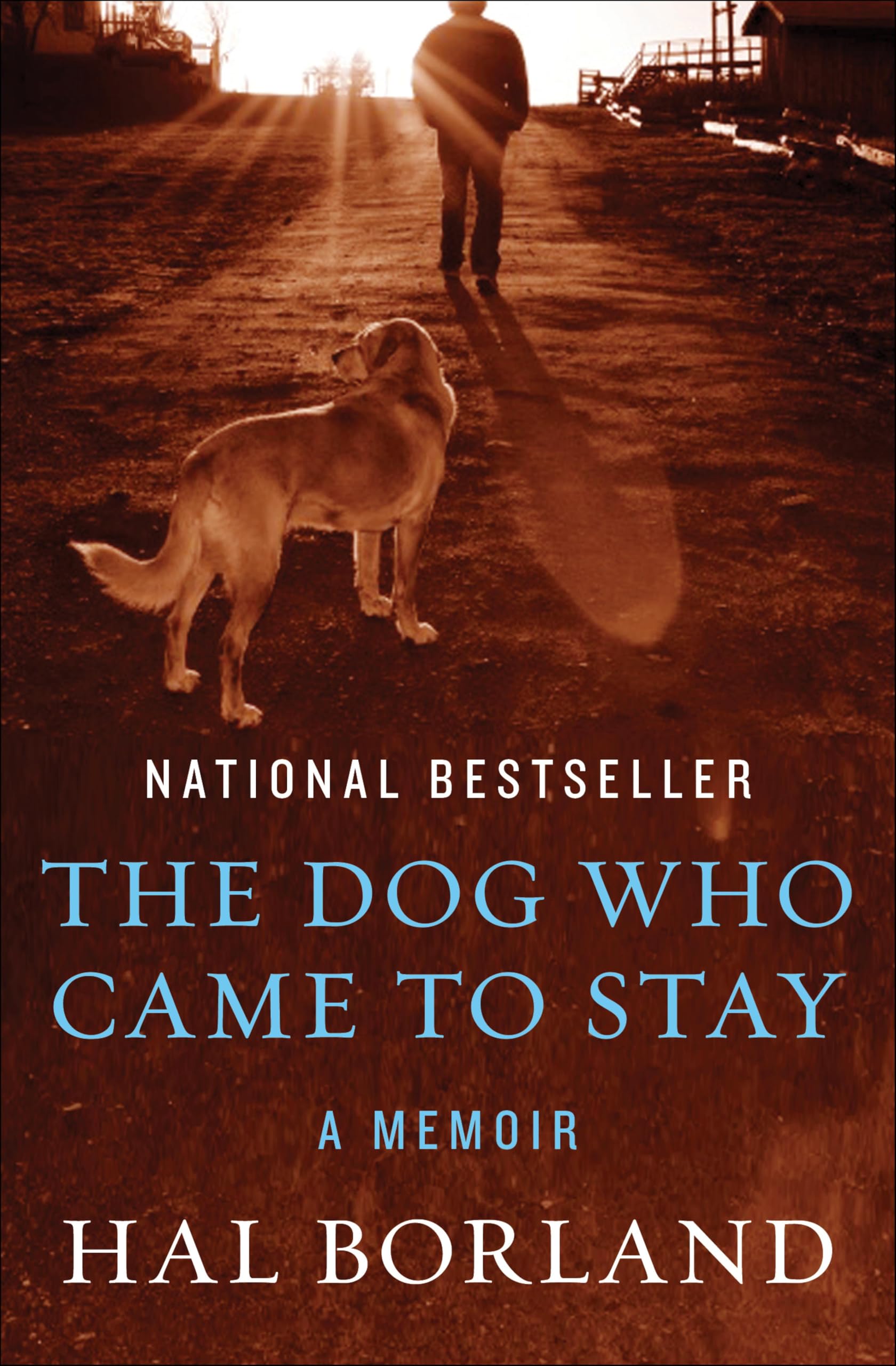The Dog Who Came to Stay: A Memoir