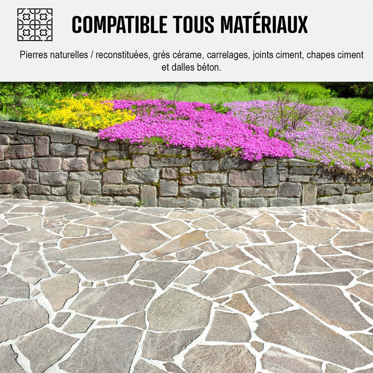 Anti Mousse Terrasse Produit Concentré pour 250m² 1 L (jusqu'à 250 m²) | Fongicide et Algicide, Détruit Dépôts Verts, Lichens et Algues, Terrasses, Pierre, Carrelage, Béton - Arcane Industries