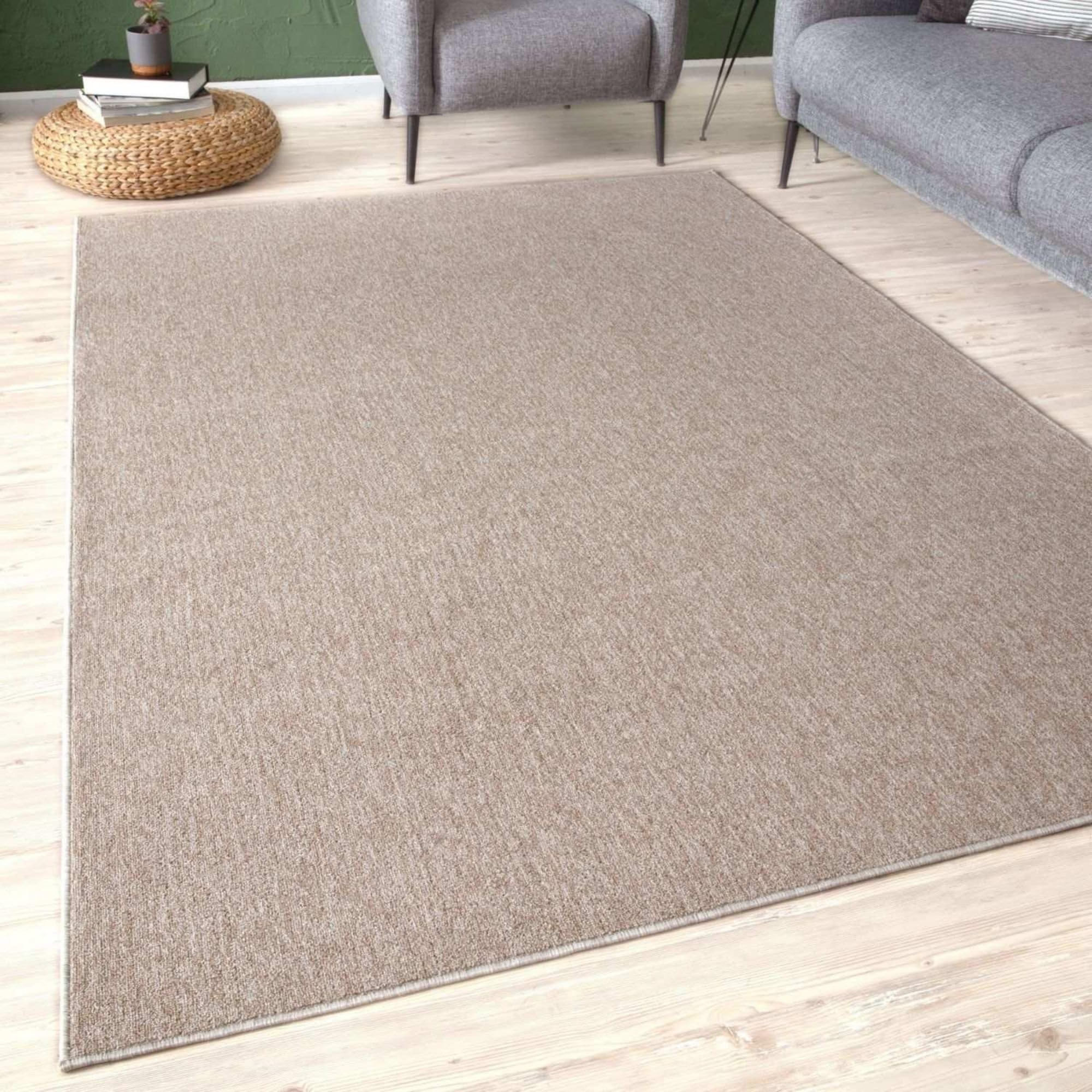 THE RUGS Low Pile Area Rugs – Modern Indoor Rugs for Living Room, Bedroom, Dining Room, Entryway – Non-Shedding (Beige, 240x340 cm)