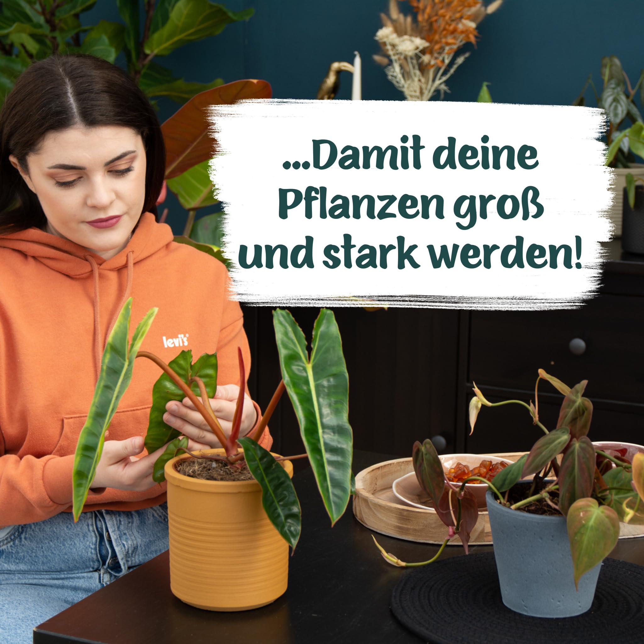 zu viel dünger tomaten Purgrün Bio-Tomatendünger 1 Liter