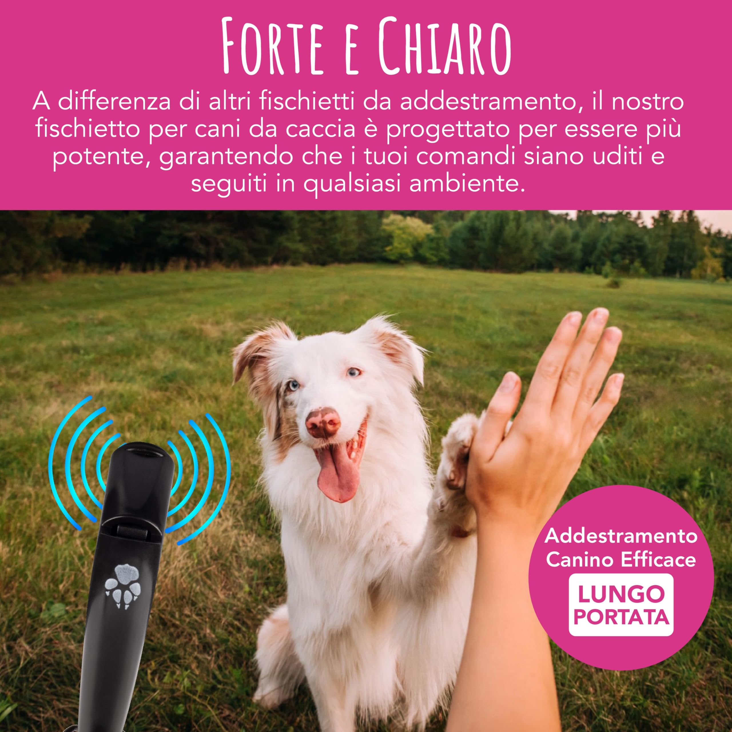 TDL Fischietto per Cani con Cordino – Strumento a Lunga Distanza per Il Richiamo e l’Obbedienza dei Cuccioli – Fischietto da Viaggio con Suono Forte per Tutte Le Razze – Nero con Corda Verde Militare
