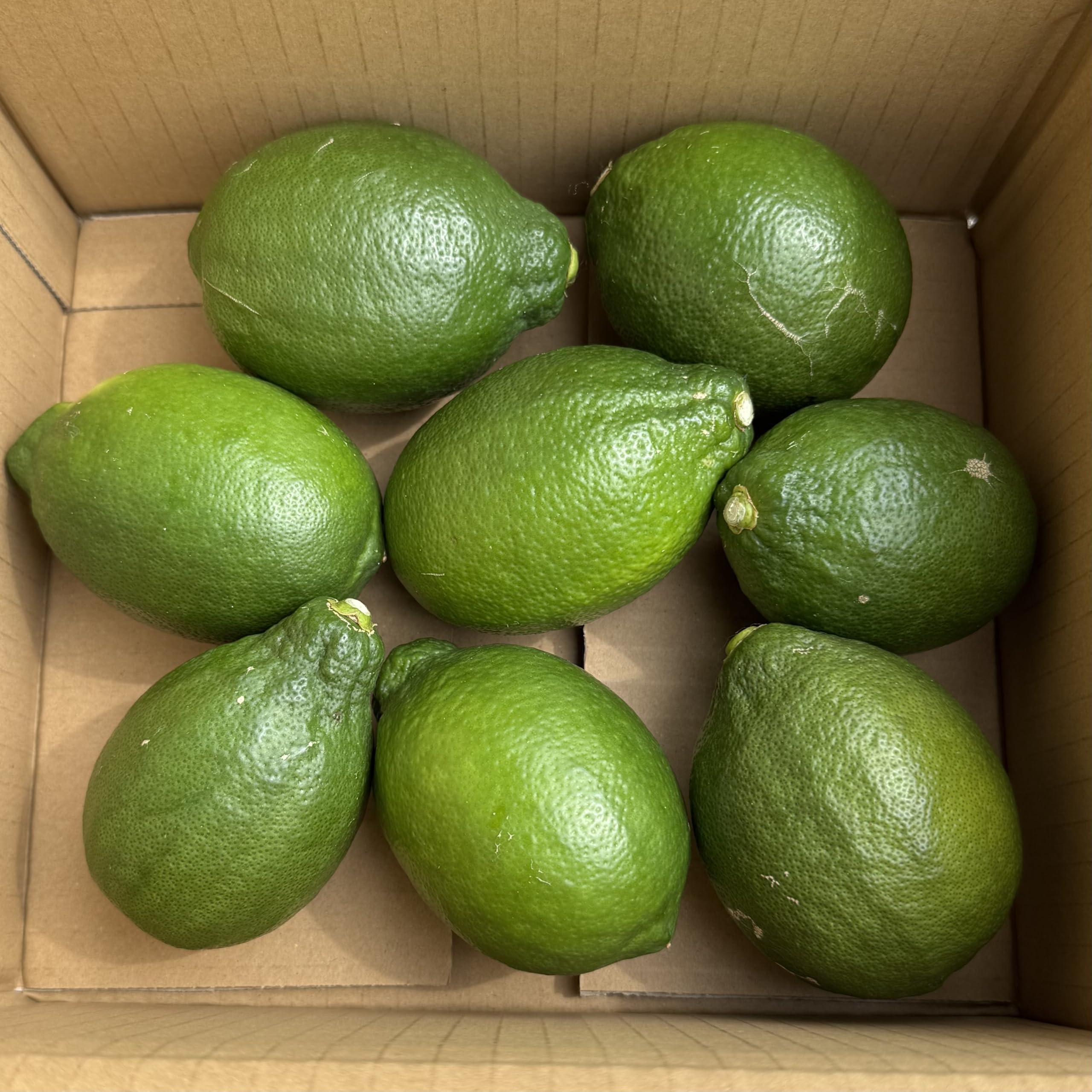 Amazon.co.jp: 皮ごと食べれる 国産レモン 箱込約1kg以上（およそ5~14