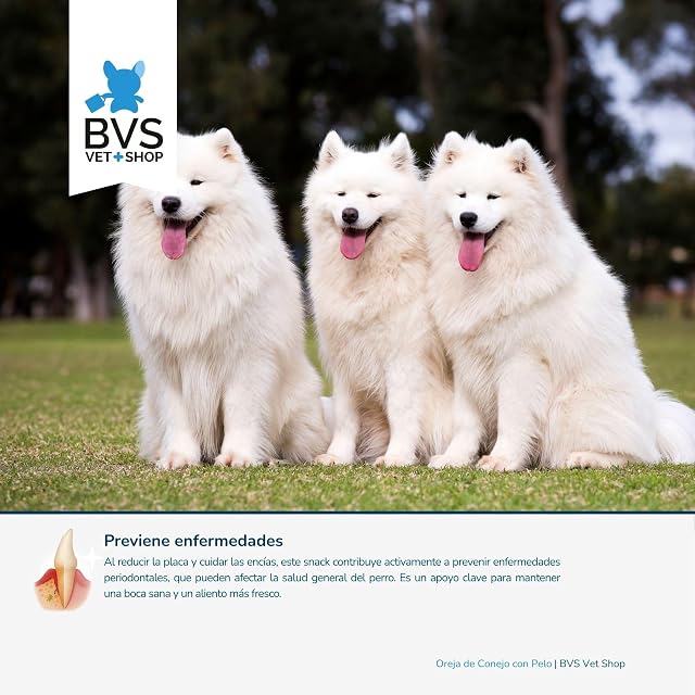 Foto 5 de 8 de BVS Vet Shop