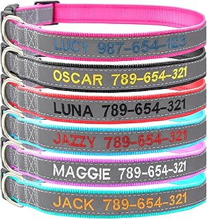 Reflektierendes Hundehalsband Personalisiert, Bestickt mit Namen und Telefonnummer Verstellbar für Extra Klein, Klein Mittel Groß Hunde product image