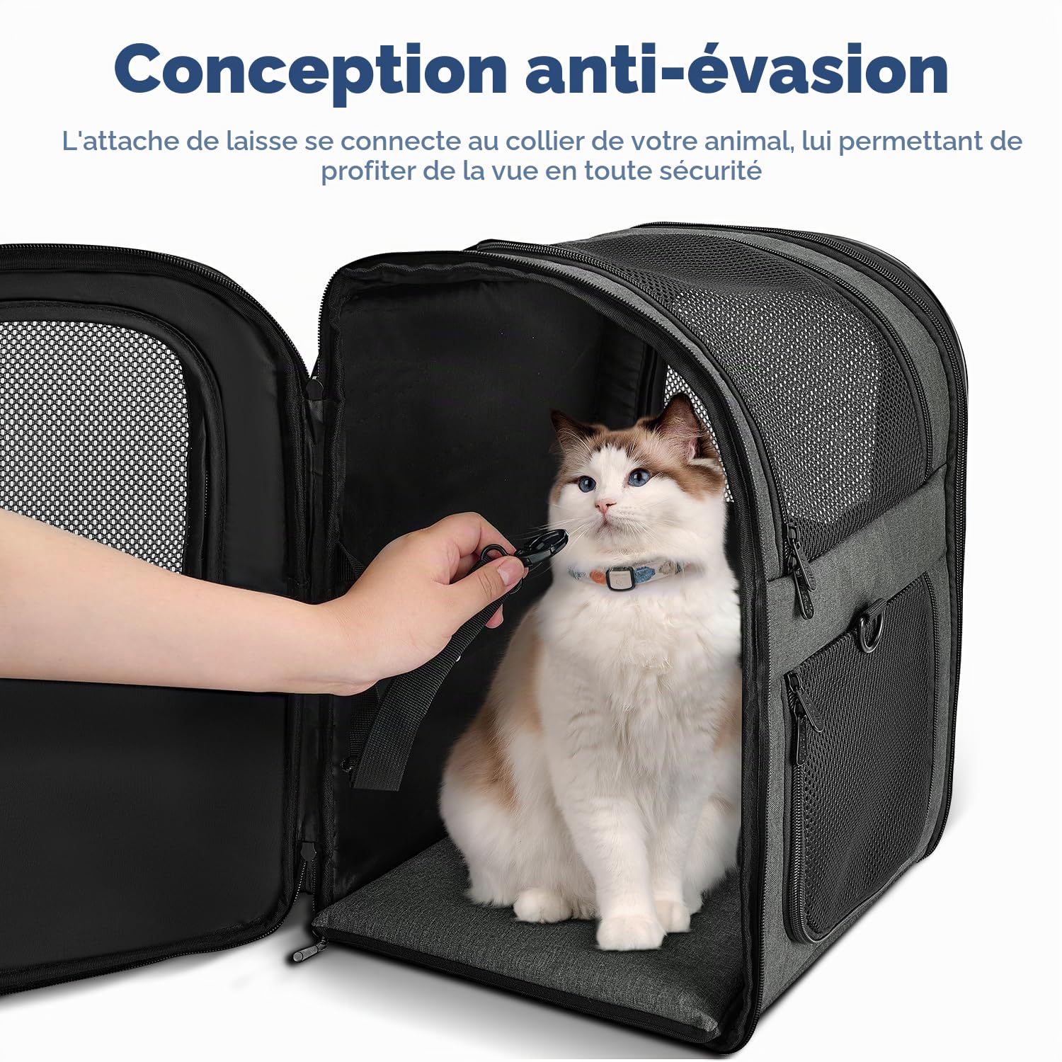 Apollo Walker Sac à Dos de Transport pour Chats et Chiens de Grande ou Petite Taille, Fonctions de sécurité et Soutien Dorsal rembourré | pour Voyage, randonnée, Utilisation en extérieur (Gris)