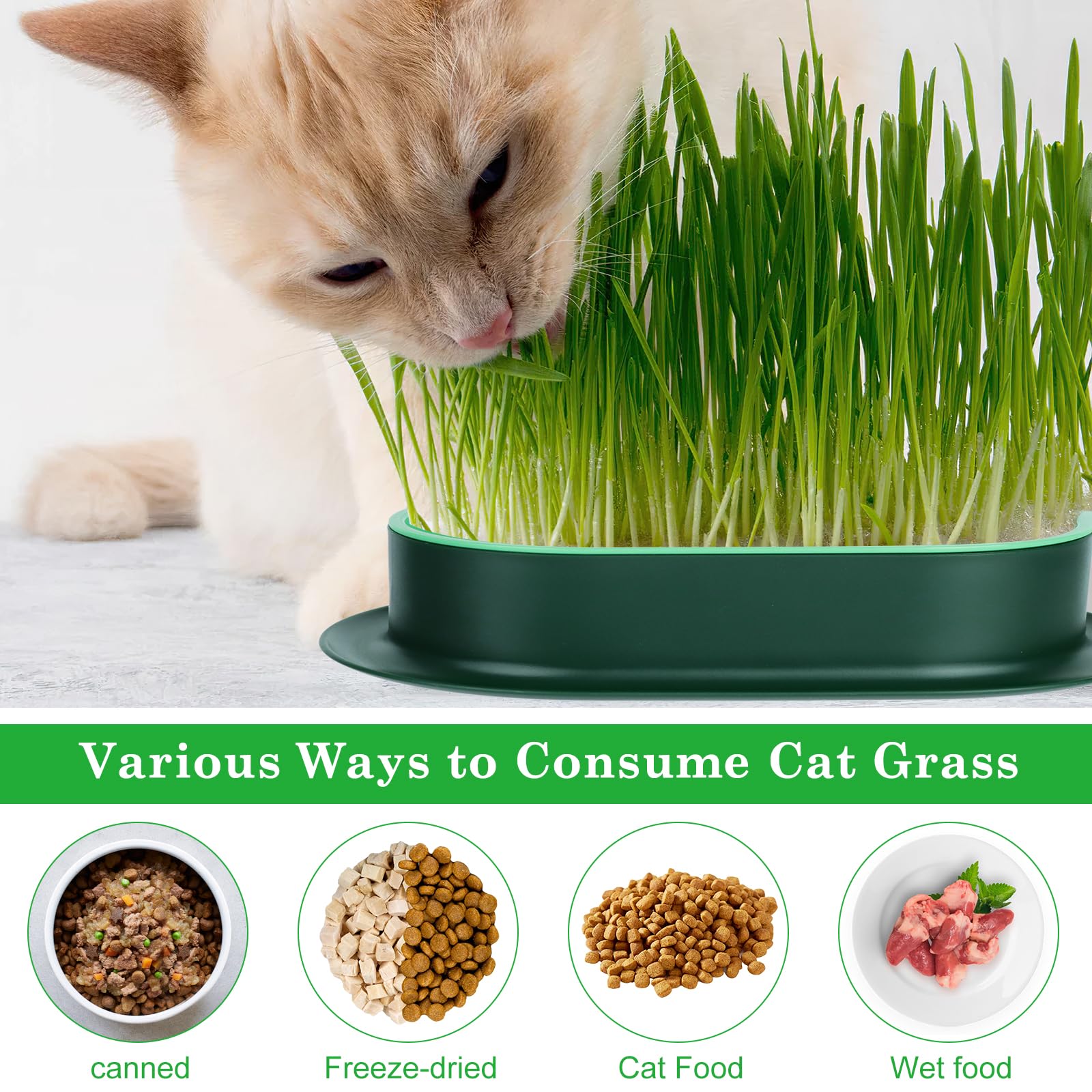2 Piezas Caja de Hierba para Gatos, Maceta hidropónica para Hierba Gato, Kit de Cultivo de Hierba para Gatos, Caja Plantación Hierba, Bandeja para Hierba de Gato Apto para Todos los Gatos