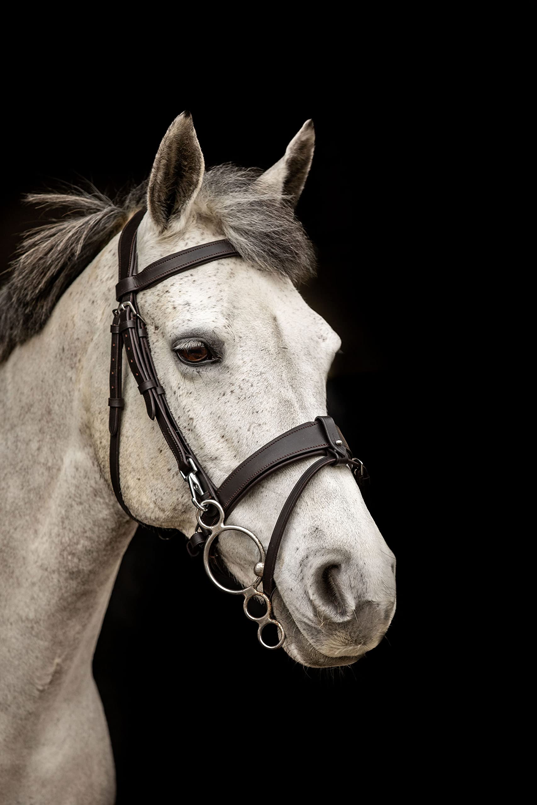 Working Hunter Bridle with Quick Release Snap Hooks Removable Flash (Cob, Brown)