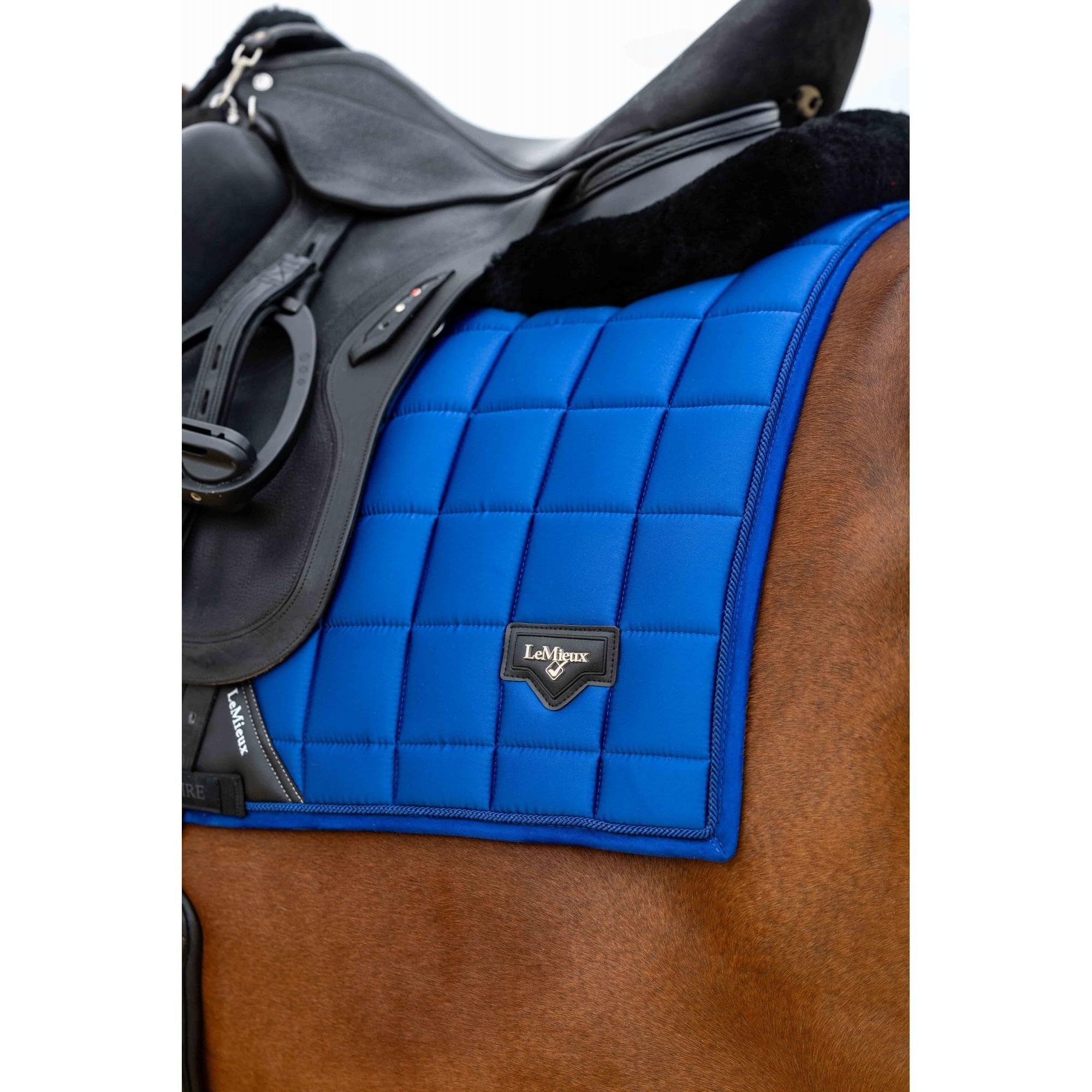 LeMieux Loire Classic - Alforja cuadrada para doma - Azul Benetton