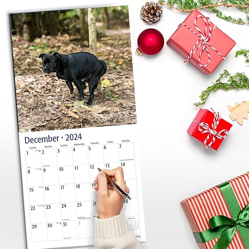 Miniatura 5 de Red Ember Select Series - Calendario de pared mensual colgante 2024 de Poo Poo Dogs  12 x 24 pulgadas abierto  Papel grueso y resistente  Regalar