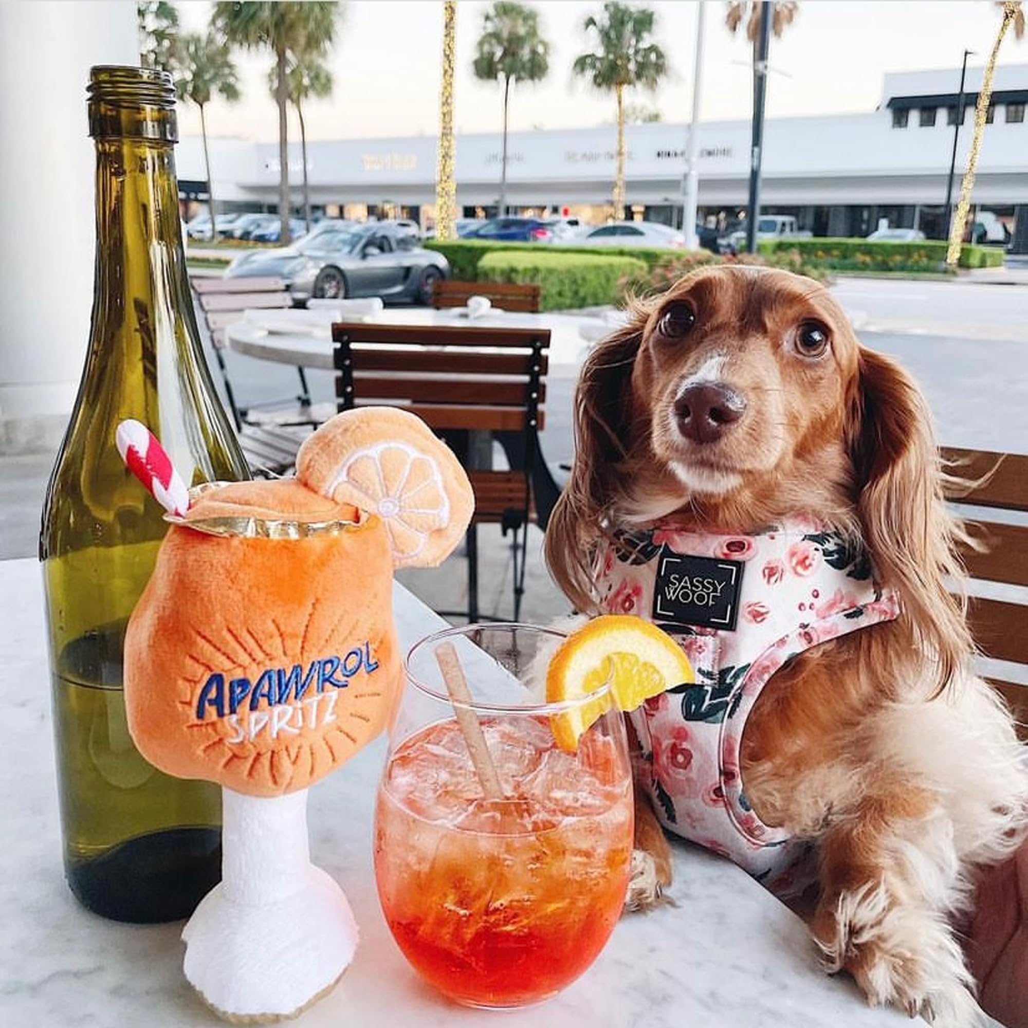 Haute Diggity Dog Apawrol Spritz Hundespielzeug