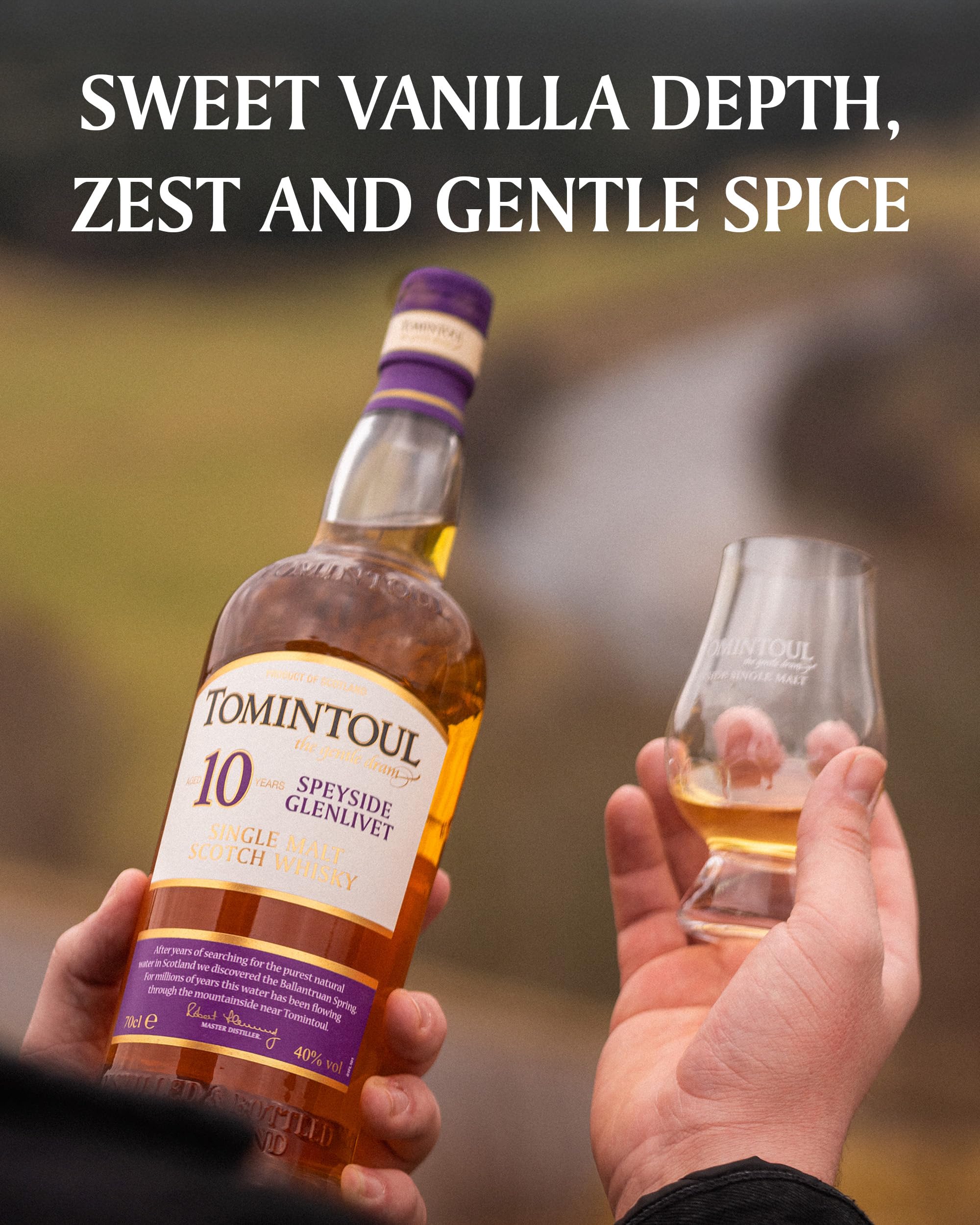 Amazon.co.jp: トミントール 10年 (700ml・40度) : 食品・飲料・お酒