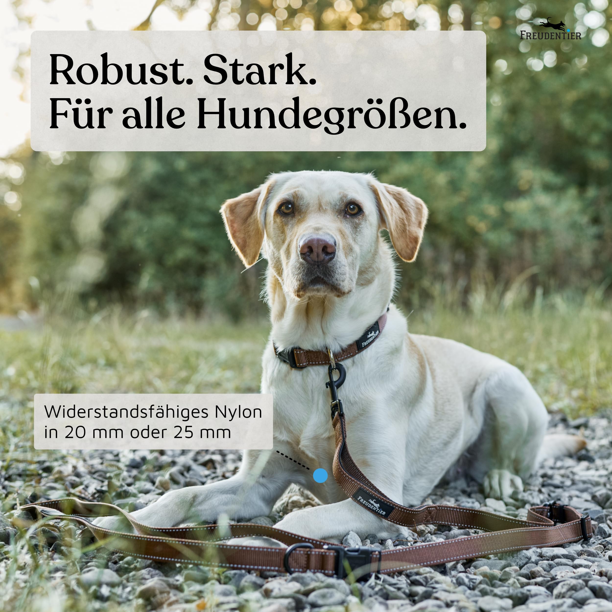 FREUDENTIER Umhängeleine Hund - Hundeleine 2,5m zum Umhängen, stufenlos verstellbar - Leine für kleine, mittelgroße & große Hunde (Braun, 2,5m)