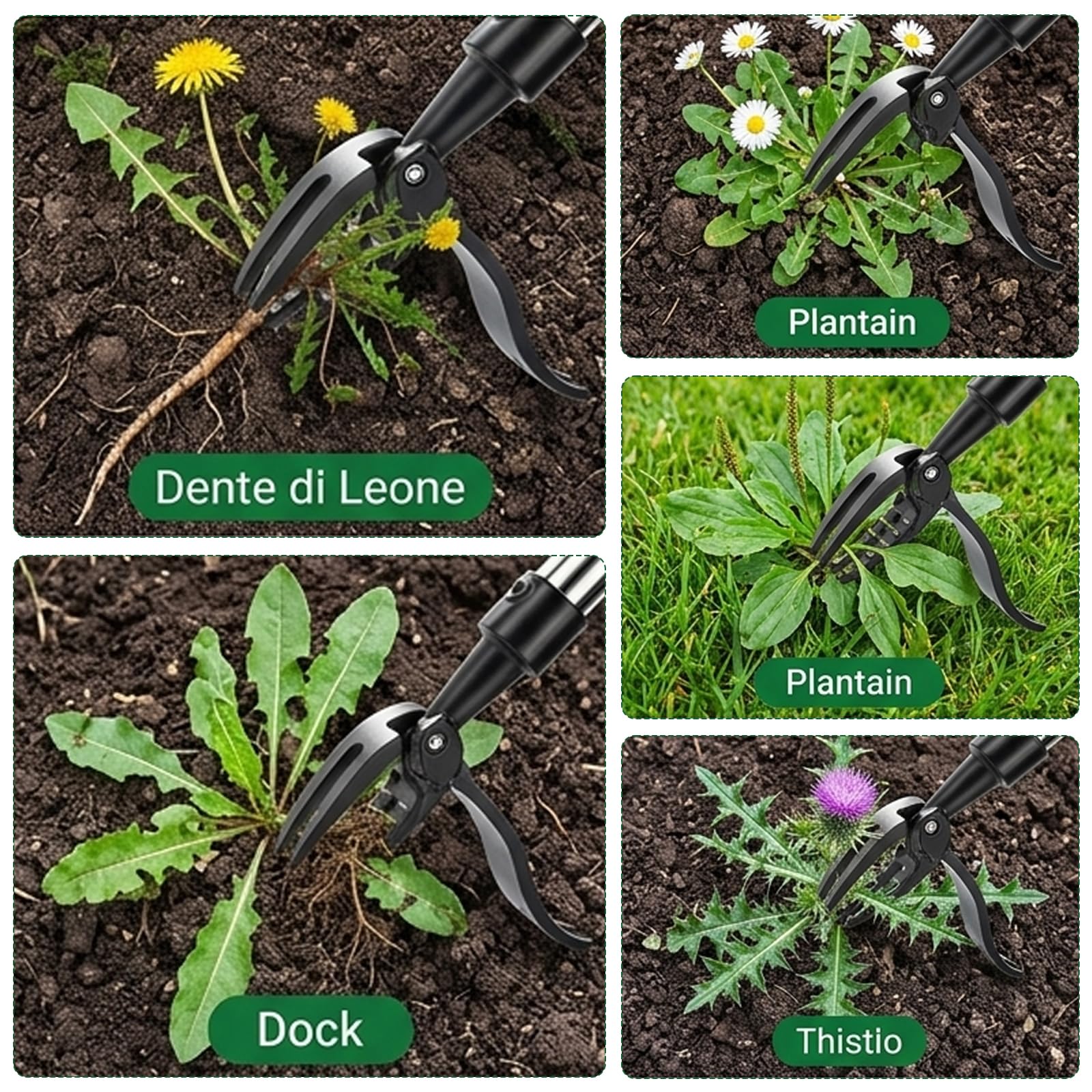 Manico Lungo Estirpatore Erbacce, Estirpatore Erbacce Manuale, Sarchiatore per Erbacce, Rastrello Giardino, Testa a 4 Artigli, Non è Necessario Chinarsi, per Giardino, Prato e Aiuole